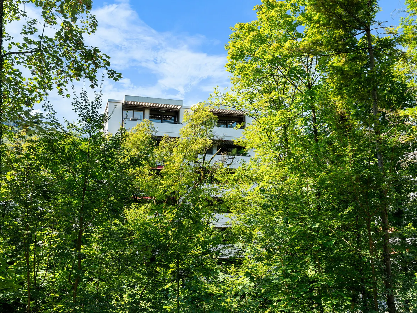 Moderne Stadtwohnung, urban und grün - Foto 1 von 7