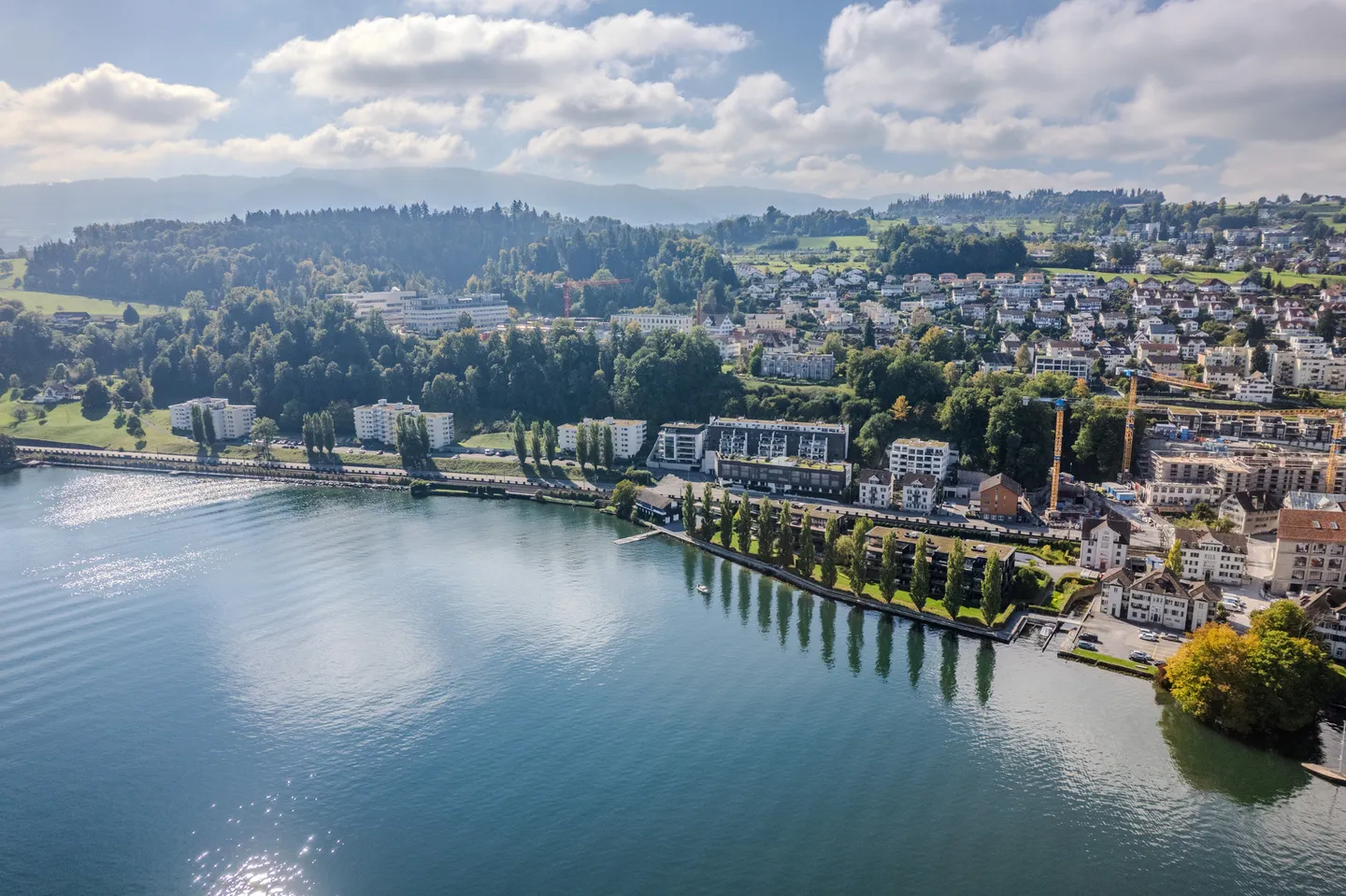 Luxurious 5.5-room apartment with lake and mountain views in exclusive park - Photo 2 of 13