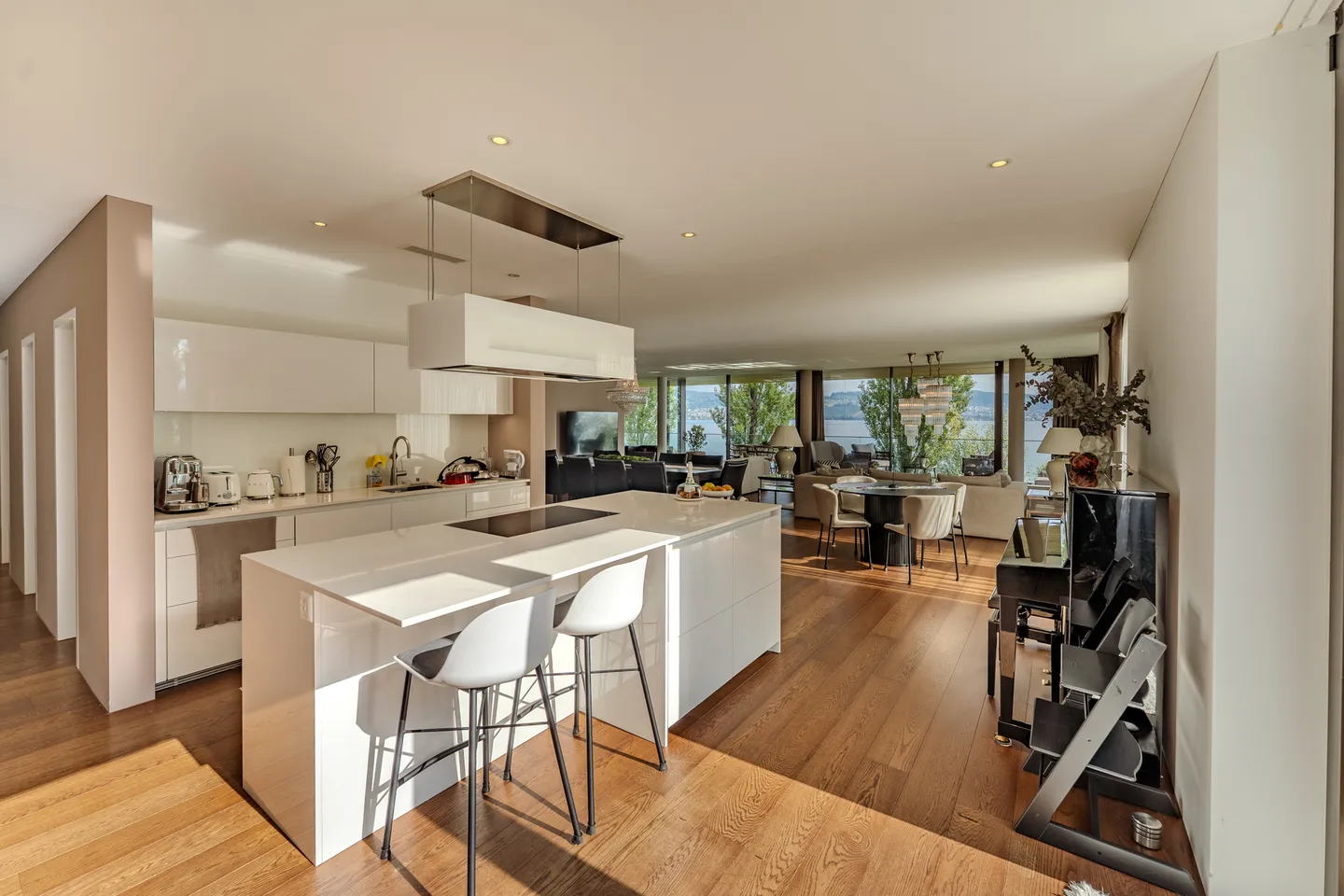 Luxurious 5.5-room apartment with lake and mountain views in exclusive park - Photo 5 of 13