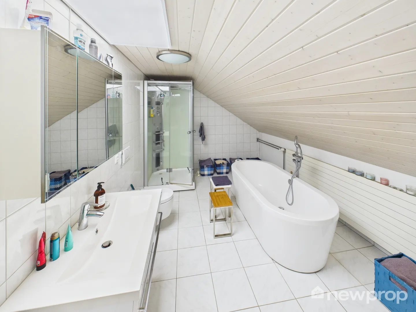 6.5-Room Single-Family House with Apartment and Studio - Photo 11 of 13