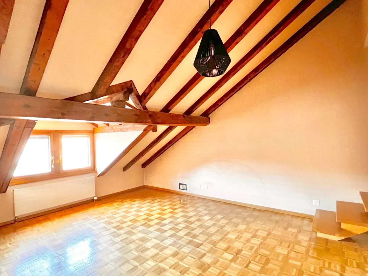Downtown, Left Bank    Attic apartment to renovate! - Photo 8 of 13