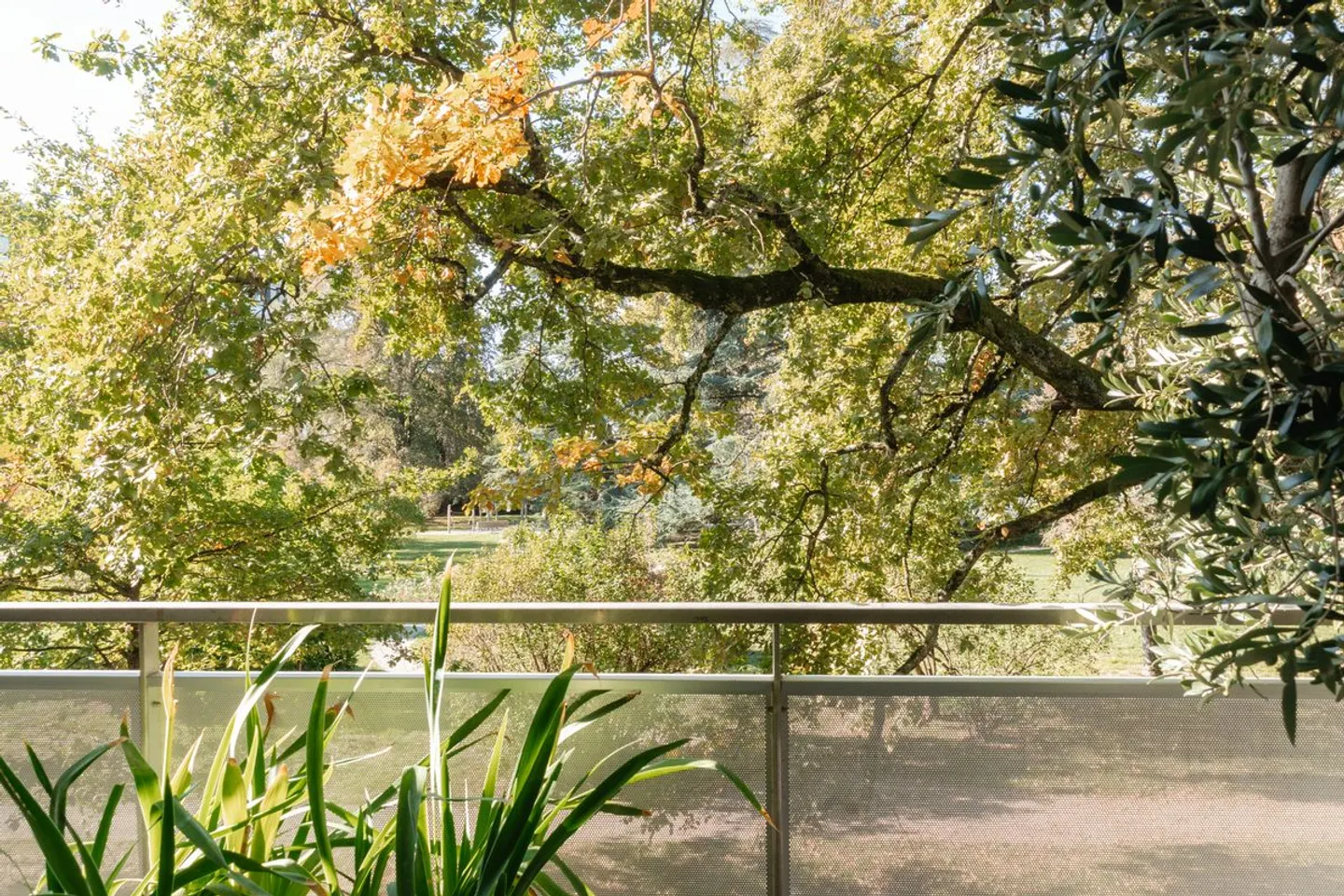 Superb apartment in a green setting - Photo 3 of 4
