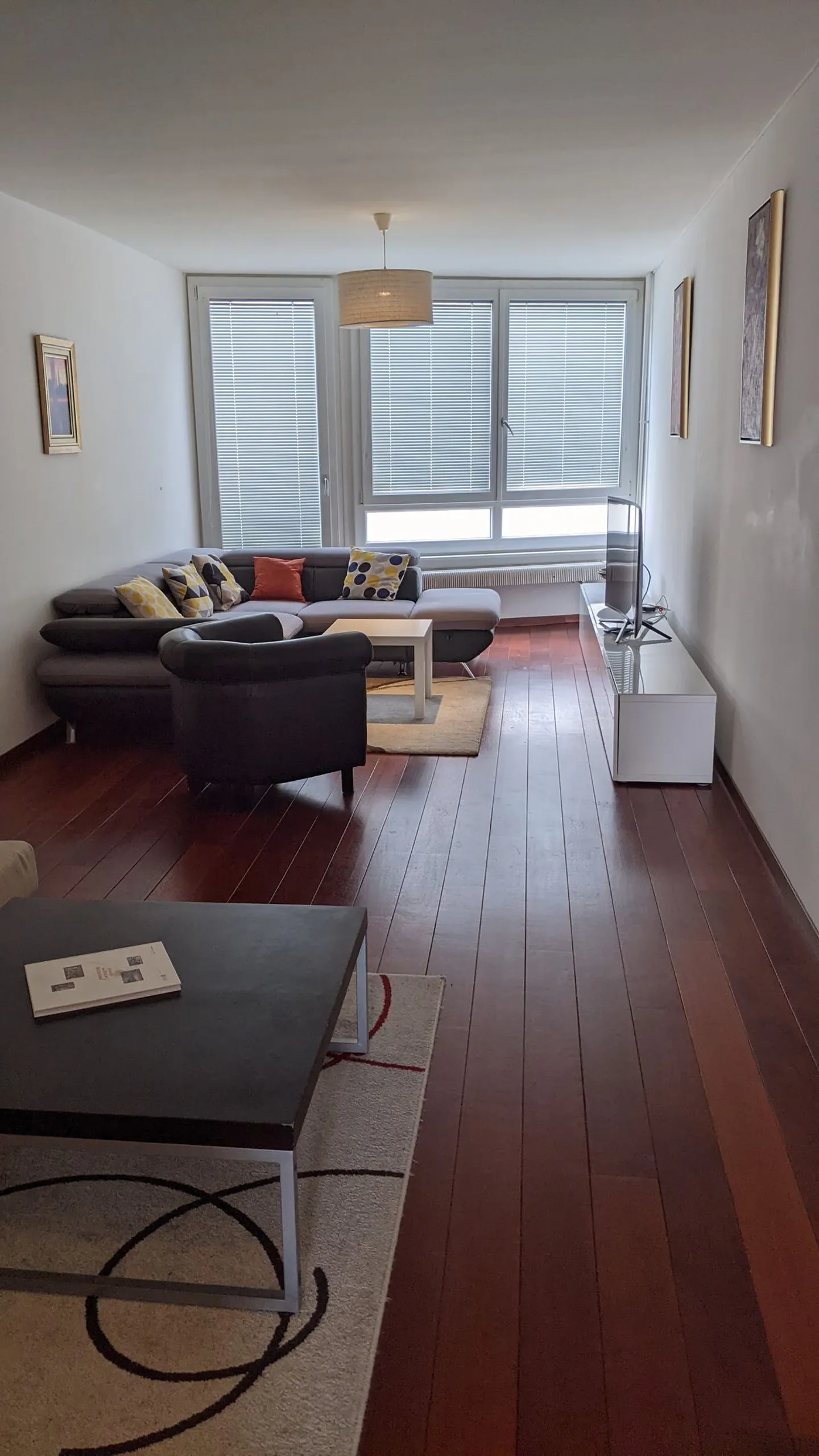 IN AFFITTO SUPERBO APPARTAMENTO - 6 STANZE - 155 M² GINEVRA - RIVA DESTRA - A 100 M DAL LAGO - Foto 3 di 13