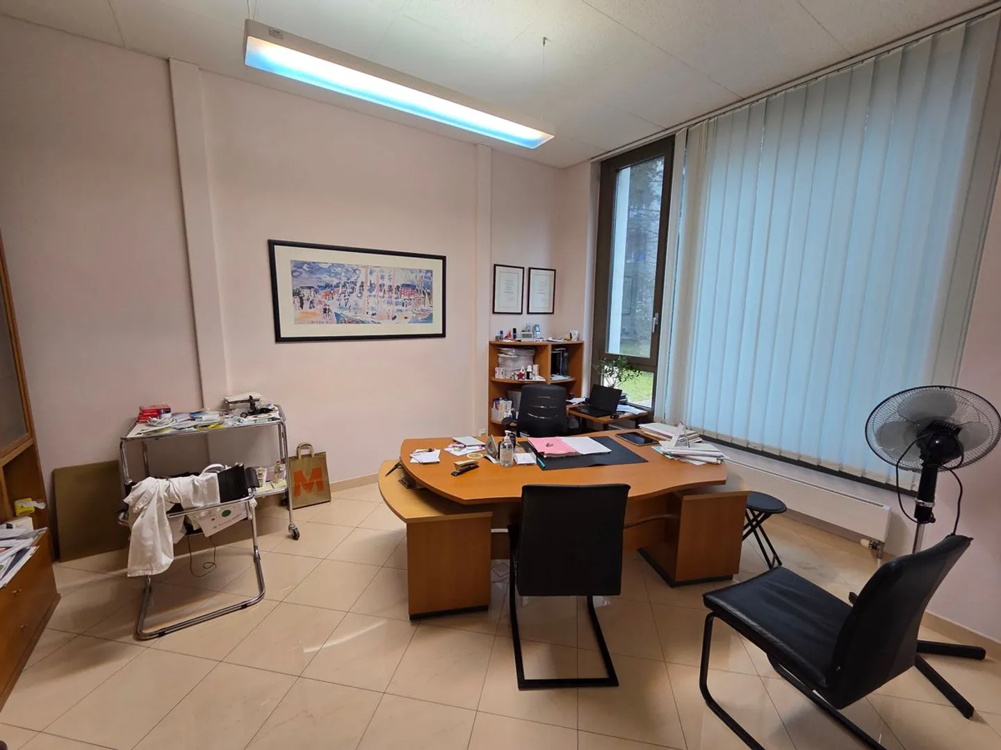 Established Medical Office with High Development Potential - Geneva Right Bank - Photo 11 of 11