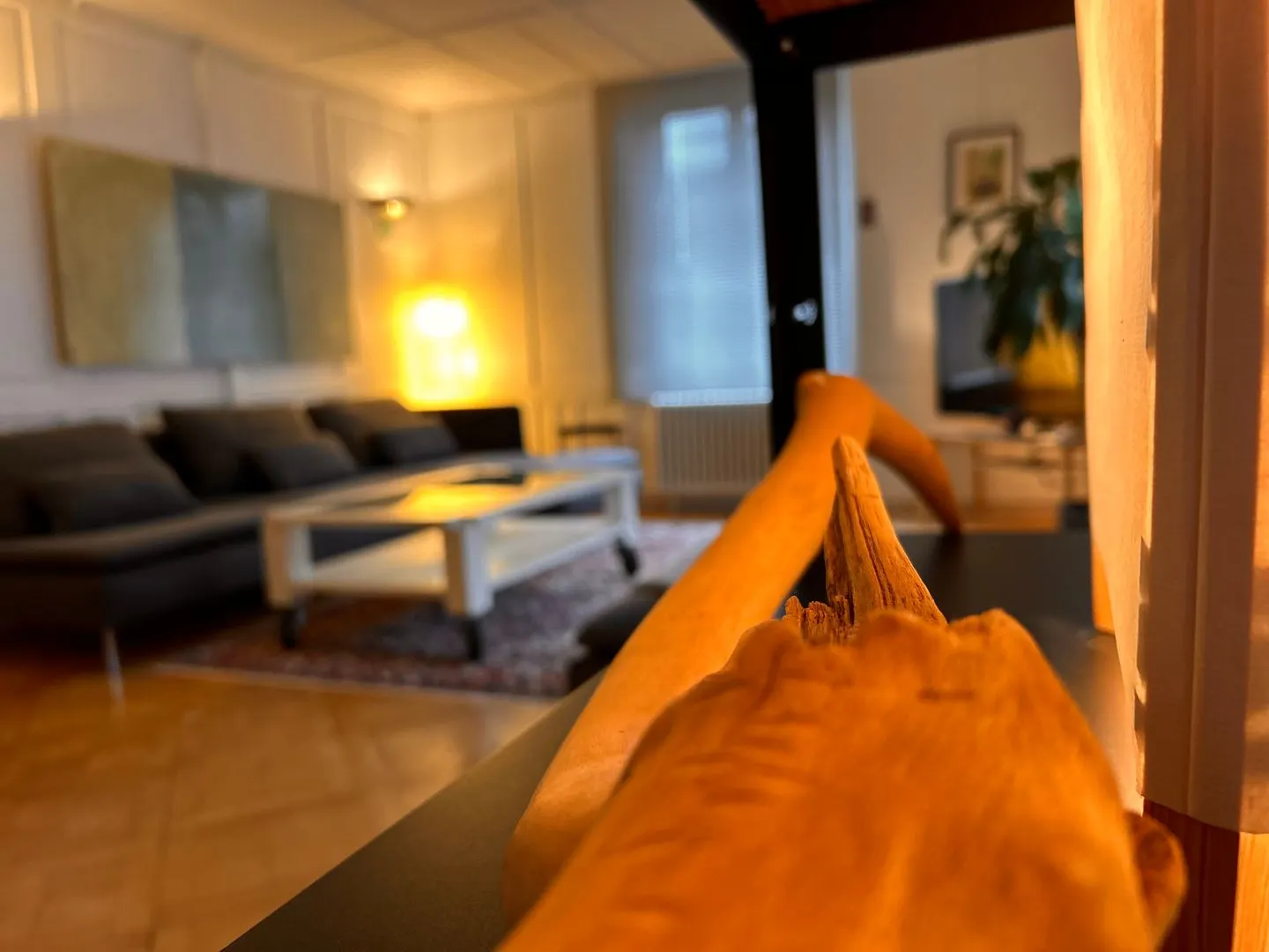 Appartement meublé 2.5 pièces | Durée de location temporaire - Photo 5 sur 12