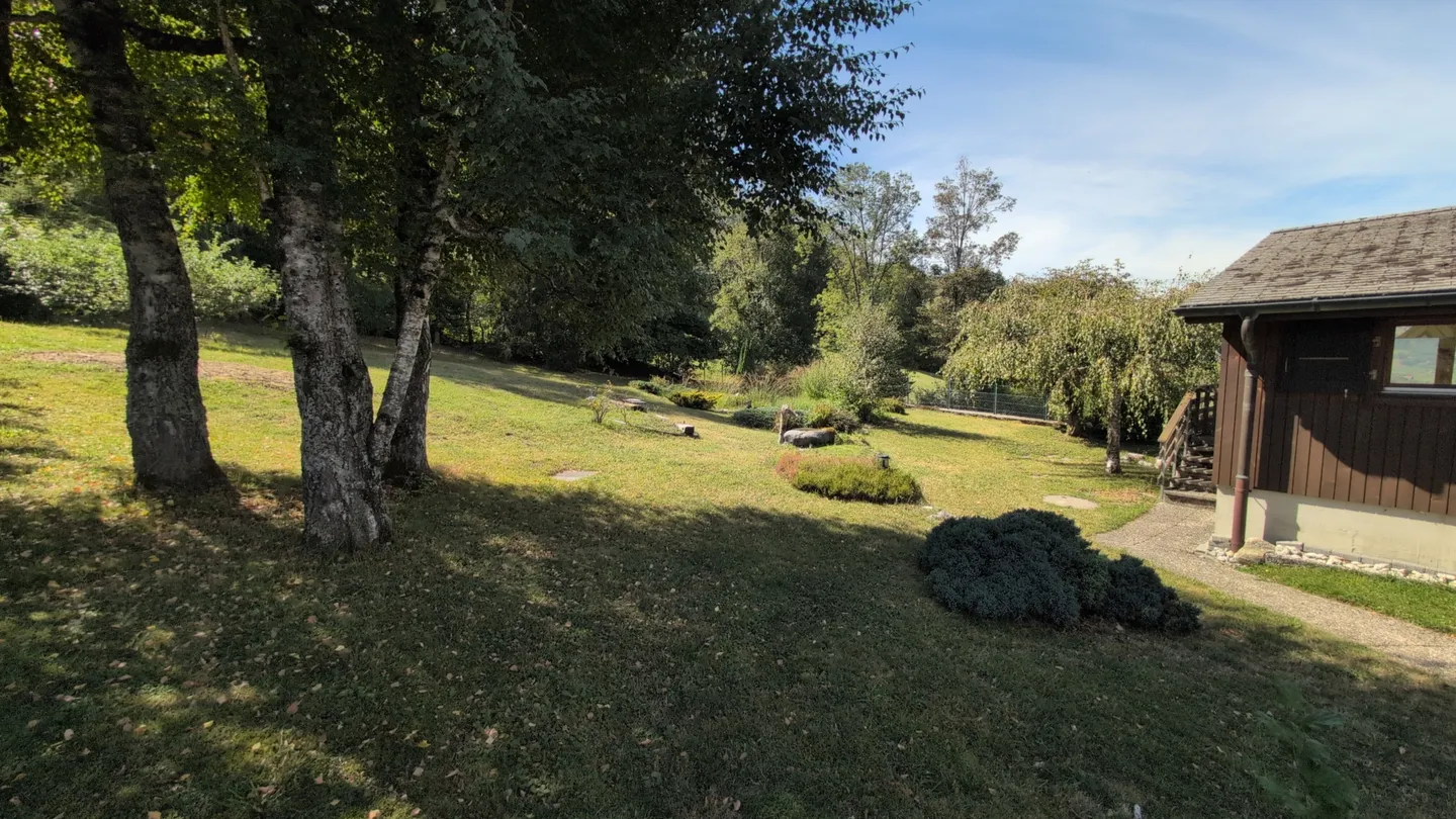 Oasis - Nature in all its splendor! - Photo 8 of 13