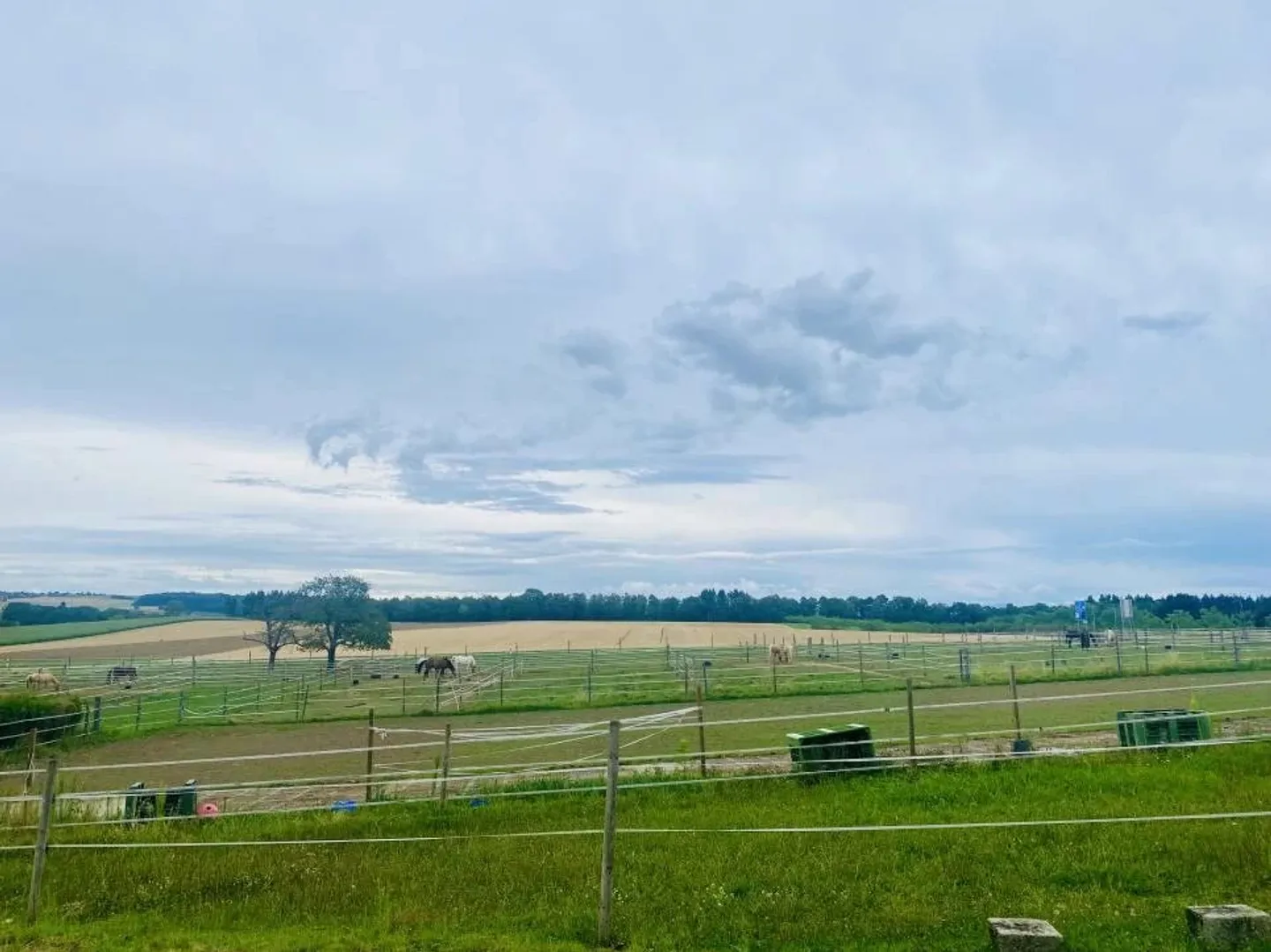 In affitto ad Aclens – Superbo appartamento 2.5 con soppalco – Un gioiello nel cuore di un villaggio tranquillo, a 10 minuti da Morges - Foto 4 di 11