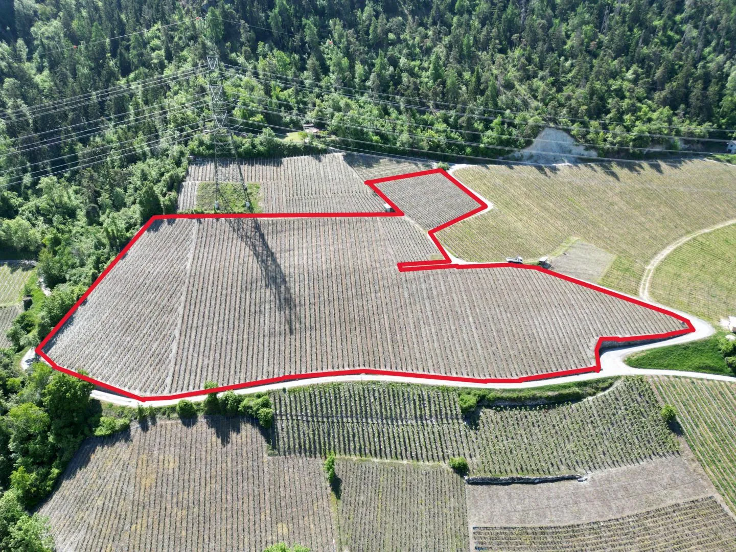 Domaine Viticole Exceptionnel - Photo 1 sur 4