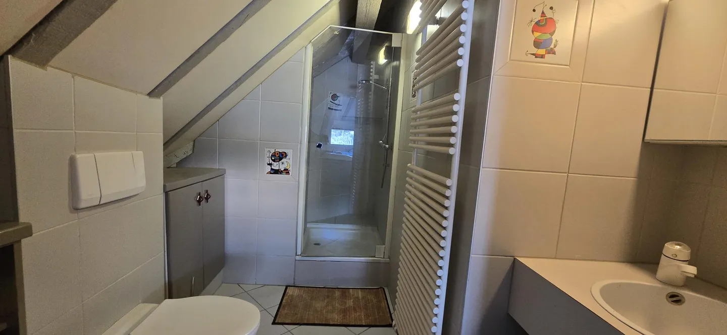 Villa de Maître 8.5 pièces de 712m2 au coeur de Sion - Photo 11 of 13