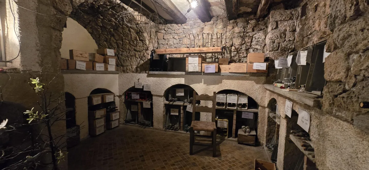 Villa de Maître 8.5 pièces de 712m2 au coeur de Sion - Photo 13 of 13