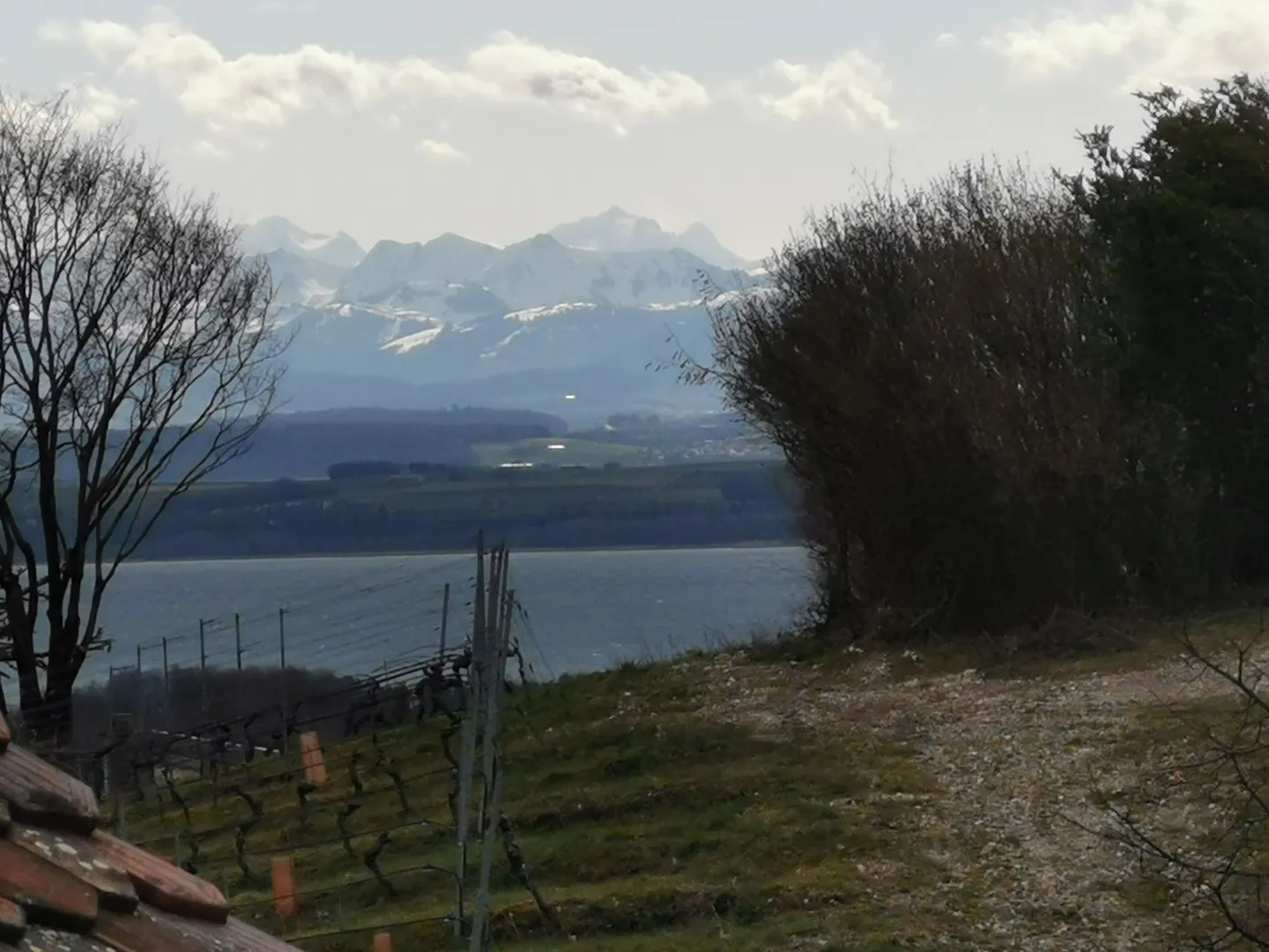 Modern and renovated loft in Bôle with charm, view and sunlight - Photo 8 of 9