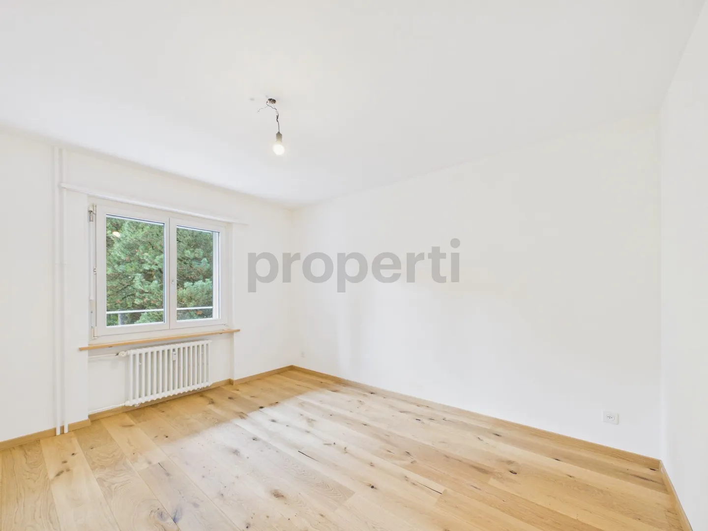 Freshly Renovated (2026), Bright Rooms & Harmonious Living Environment! - Photo 6 of 8