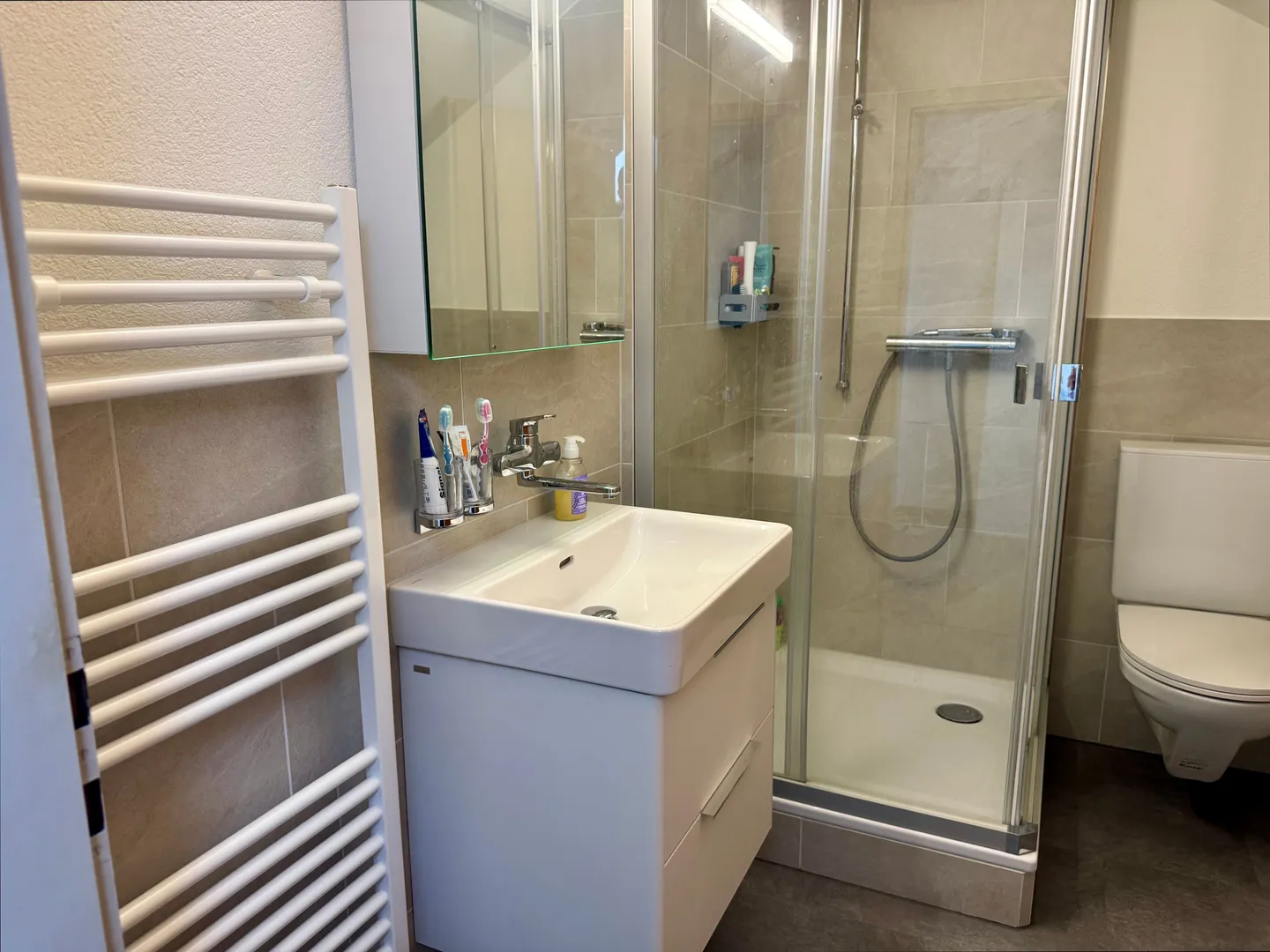 Renovierte Maisonette in Uster - Foto 8 von 9