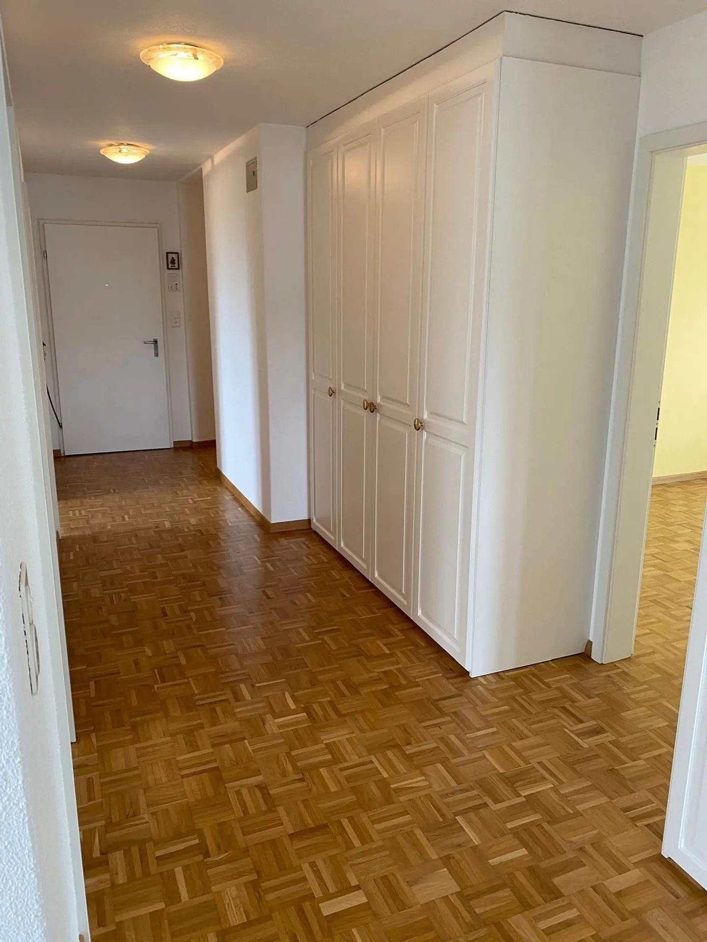 Dreamlike 5.5-Room Apartment with Lake View in Steckborn, Canton TG - Photo 2 of 10