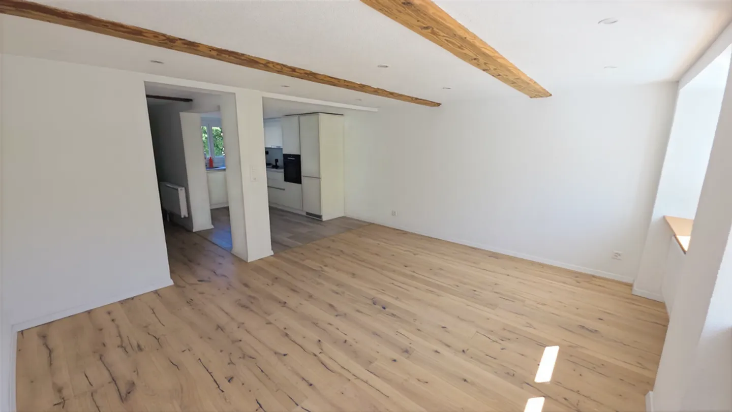 Newly renovated 5.5-room single-family house with large basement, Glarus - Photo 1 of 13