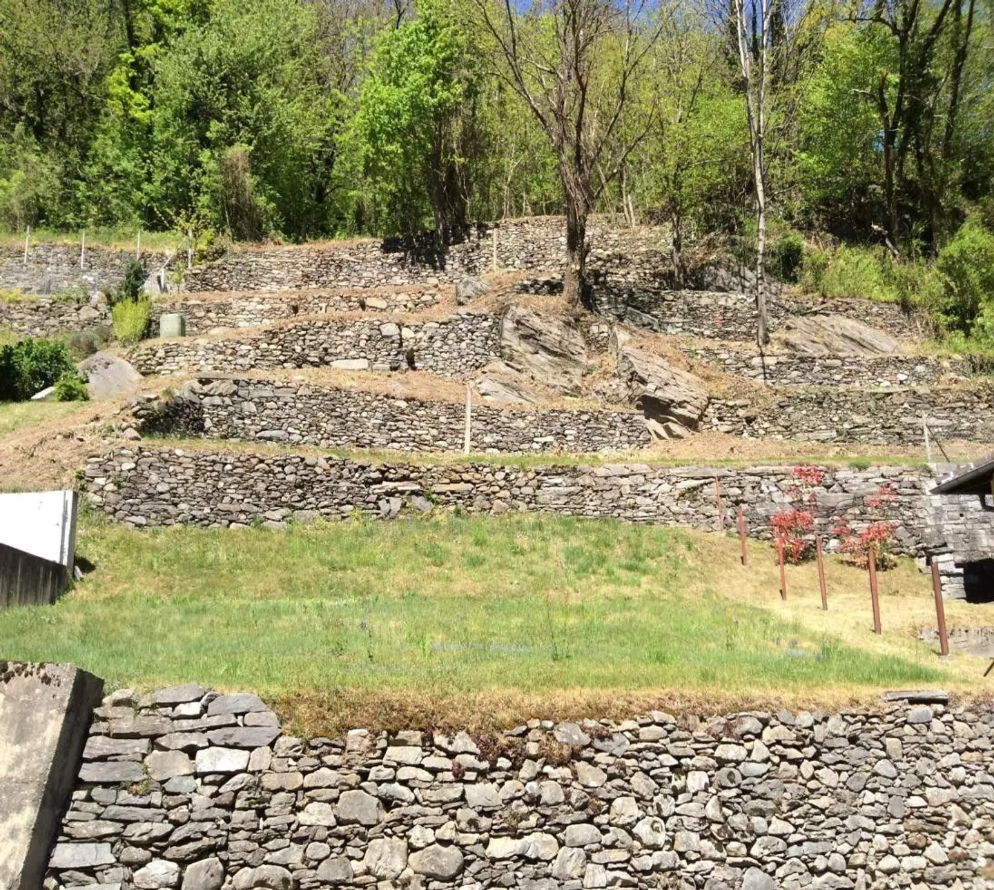Terreno edificabile R2 di 770 m², progetto di massima e grotto/rustico esistente - Photo 1 sur 10