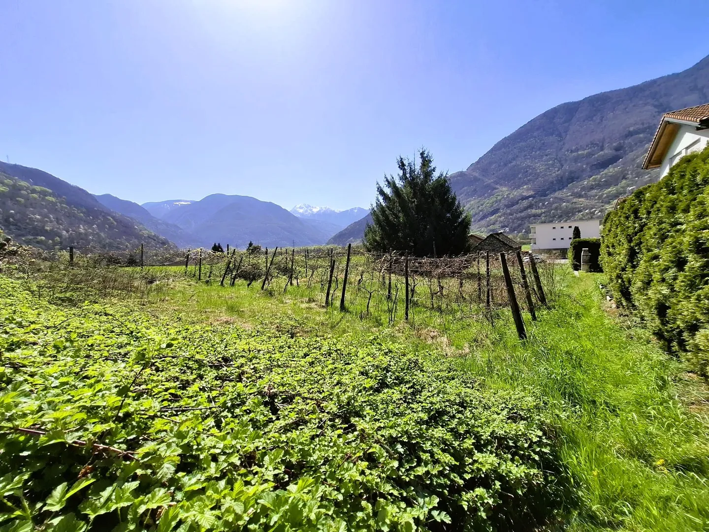 Building plot with potential in Claro, TI - 650 m2 - Photo 5 of 7