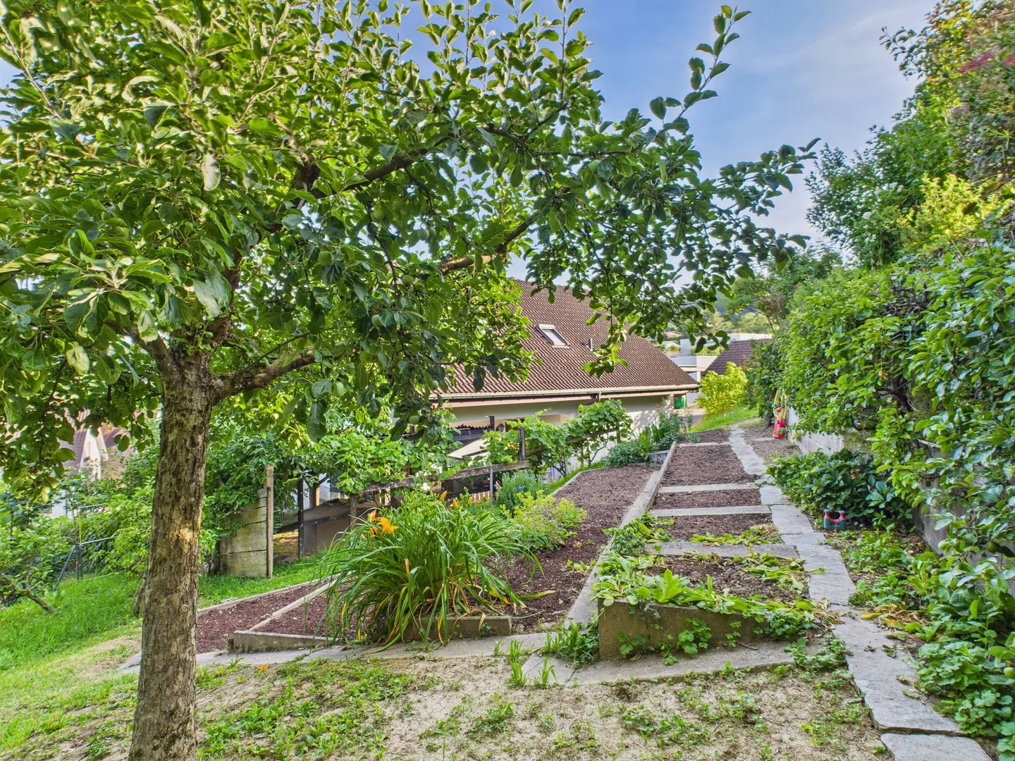 Maison individuelle avec piscine, maison de piscine et beaucoup d'espace extérieur - Photo 11 sur 13