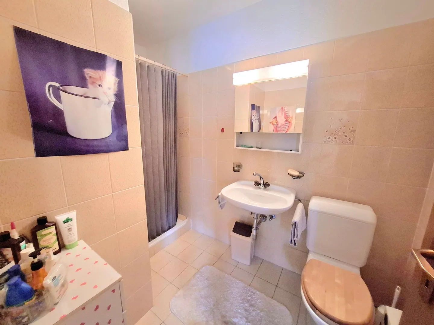 Superbe villa unifamiliale à Bellinzone, dans le canton du Tessin - Photo 12 sur 13