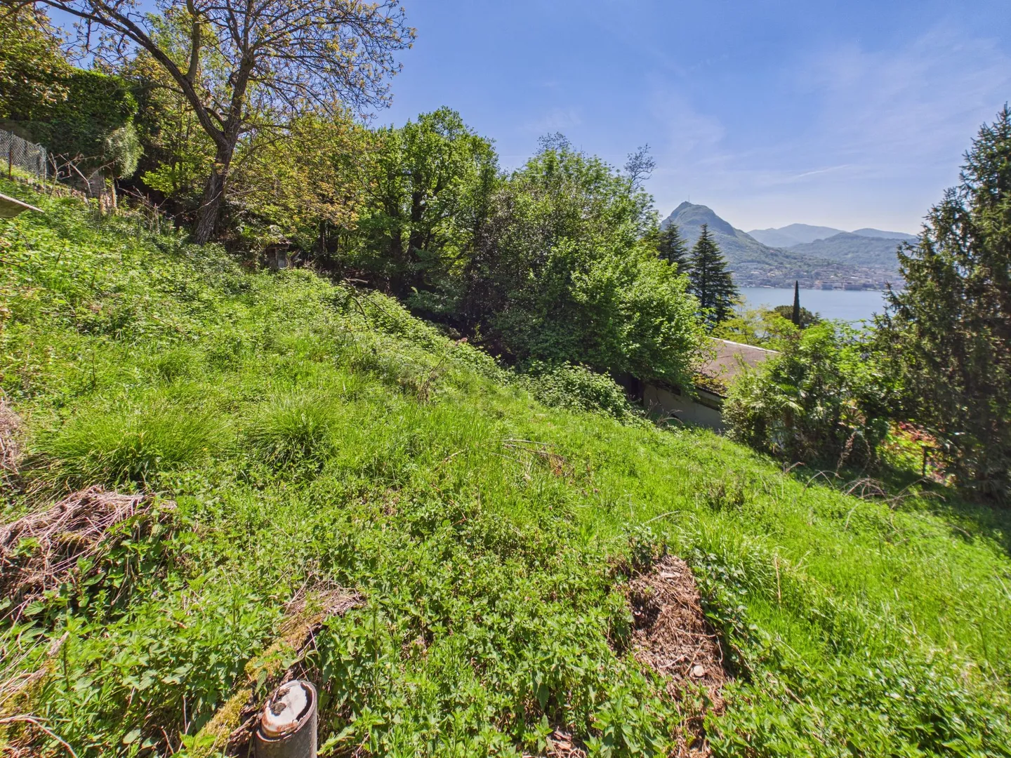 Ampio terreno edificabile in zona tranquilla, Viganello - Photo 4 sur 11