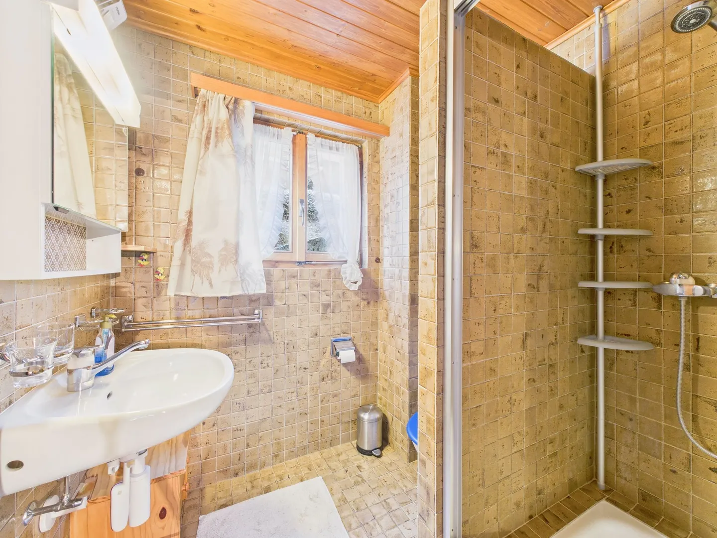 For Sale: Superb 4.5 Room Apartment at the Portes du Soleil in Morgins - Photo 8 of 11