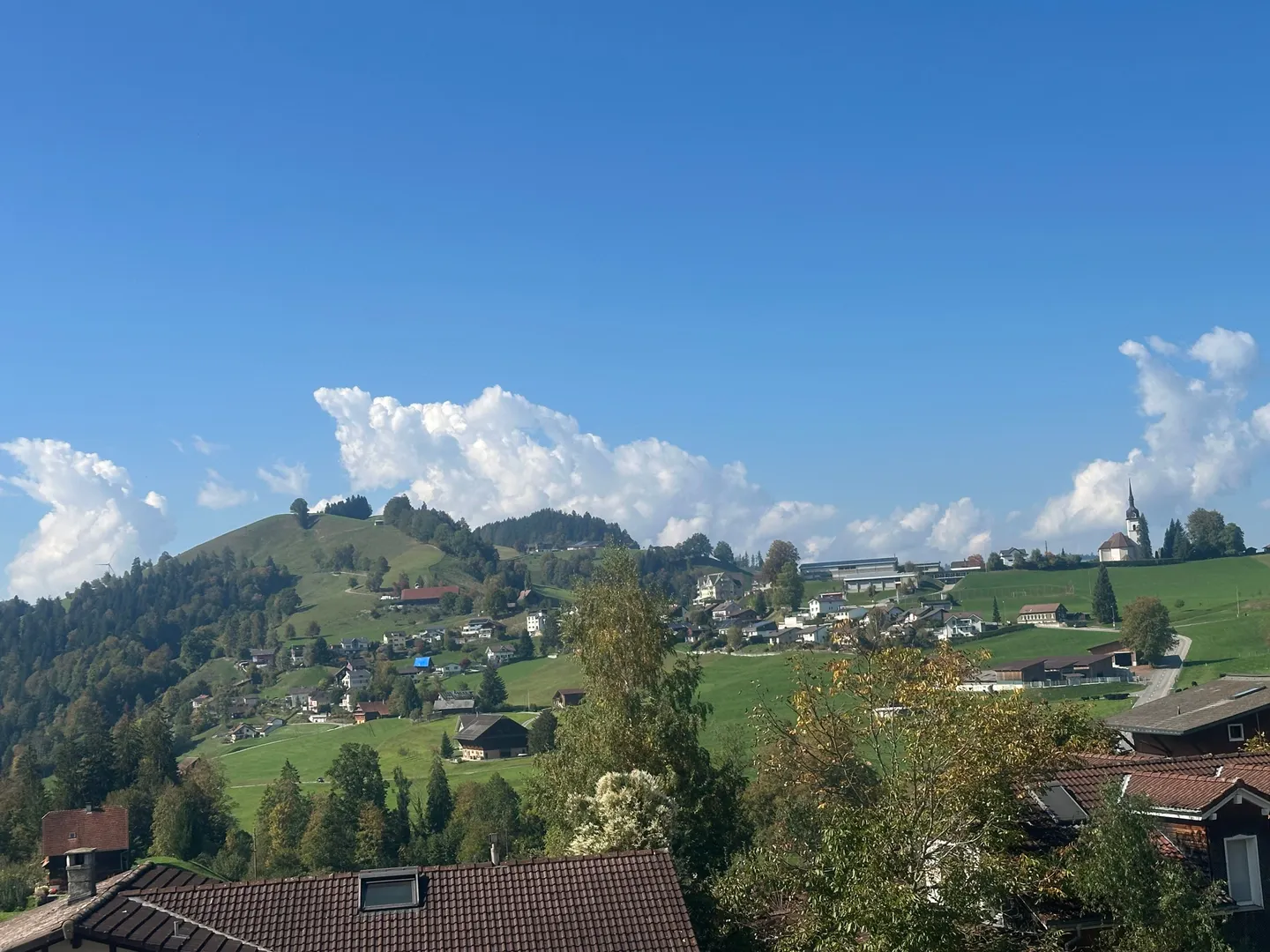 Modernes Einfamilienhaus in Natur - Foto 9 von 10