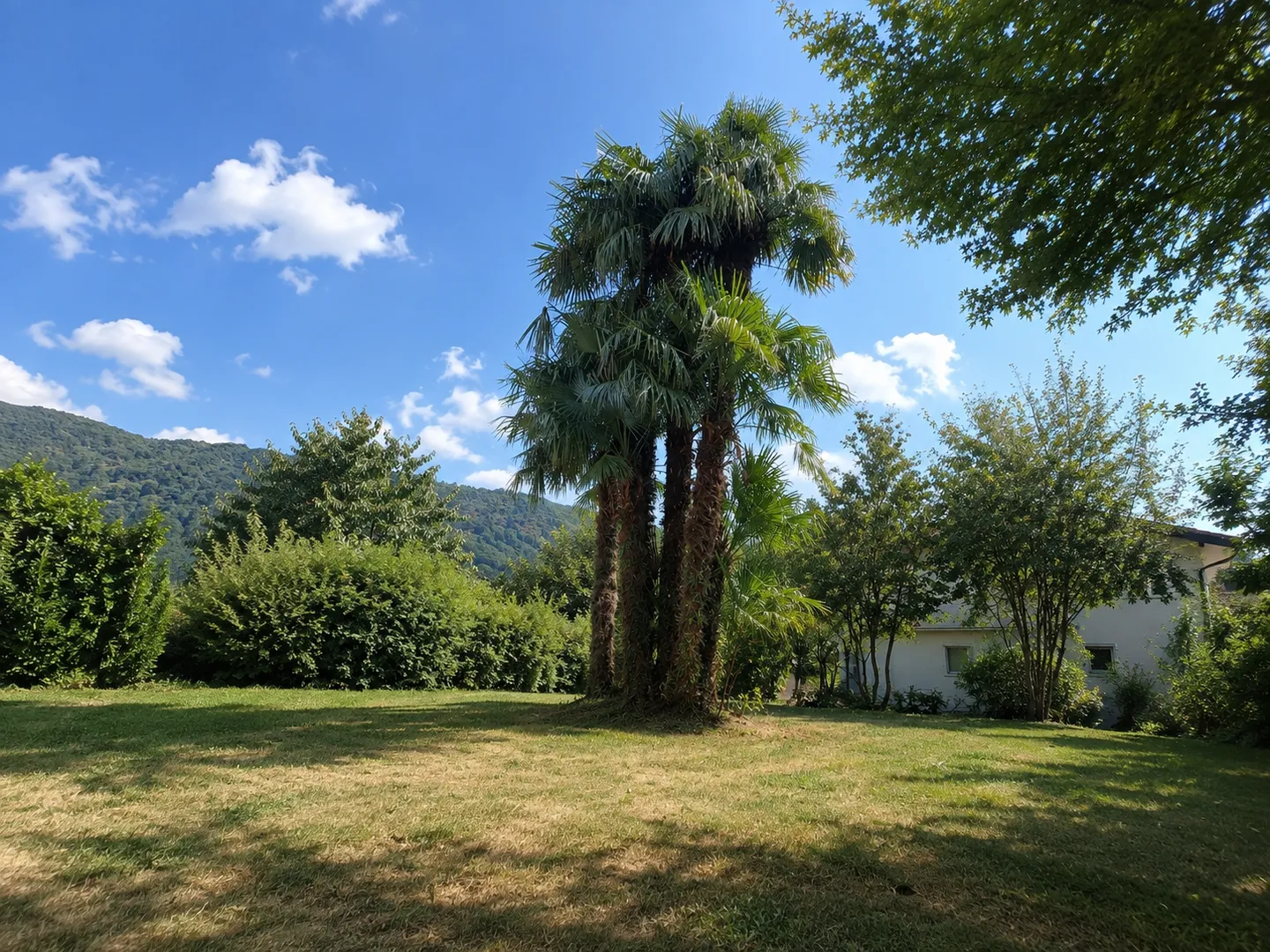 Terreno di 1000 m², ampio potenziale di ristrutturazione e pergola con camino - Foto 9 di 10