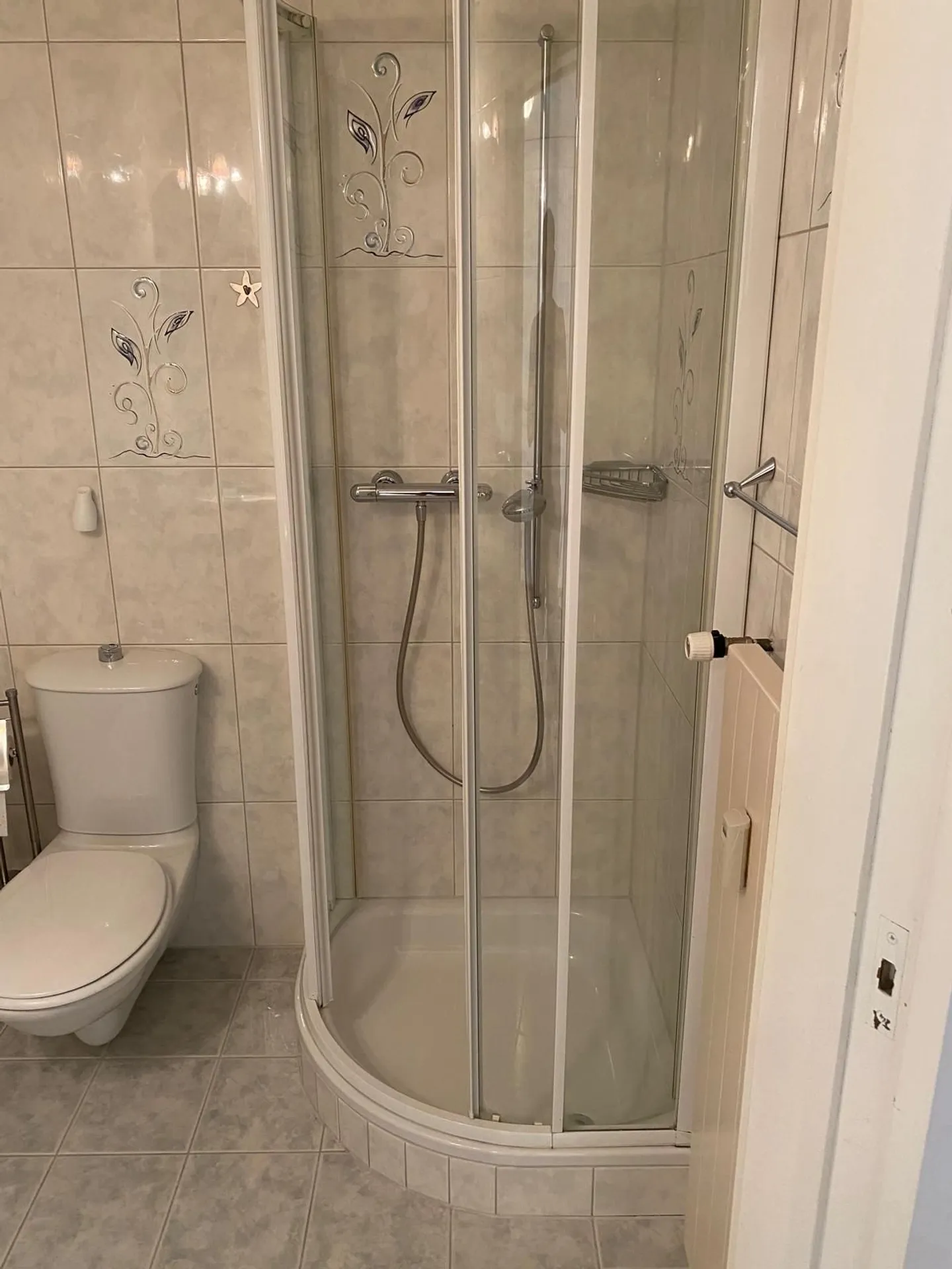 Dreamlike 5.5-Room Apartment with Lake View in Steckborn, Canton TG - Photo 9 of 10