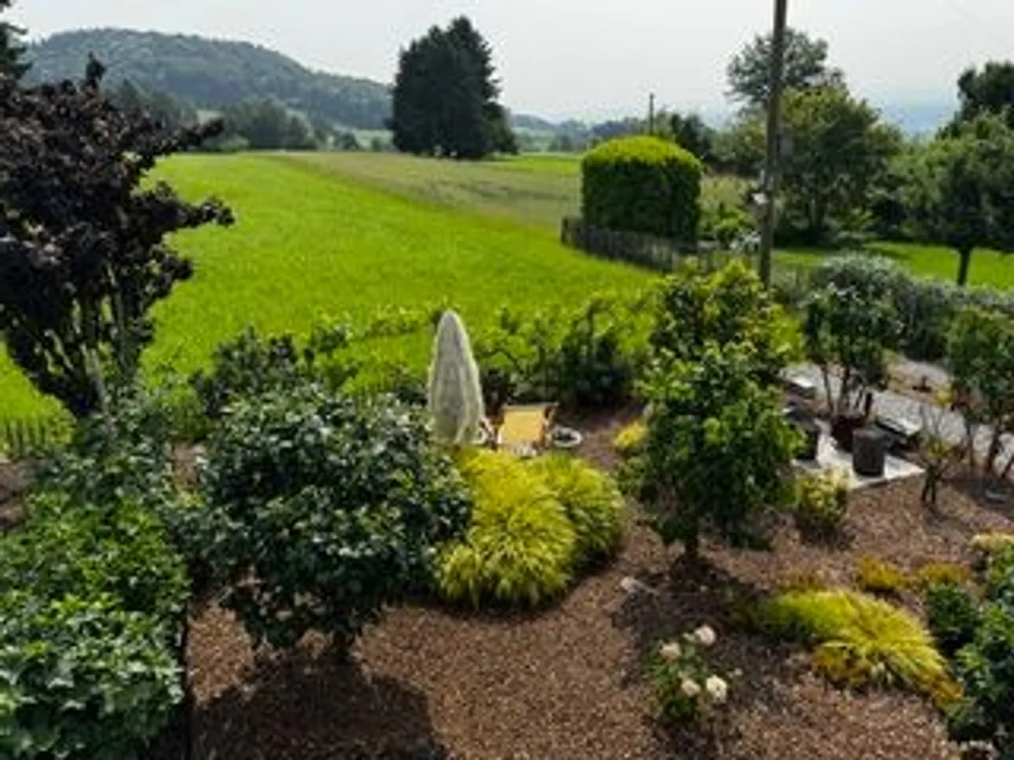 Lichtdurchflutete 2.5-Zimmer-Wohnung mit Wohlfühlambiente in Günsberg (SO) - Foto 11 von 13