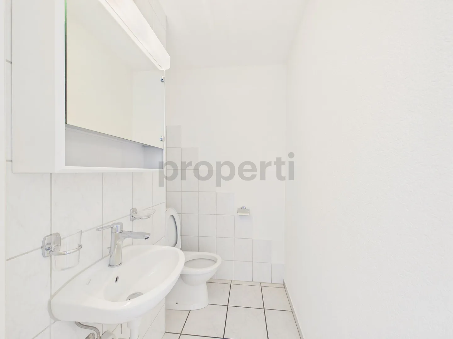 Spacious 4.5-Room Apartment - Photo 11 of 12