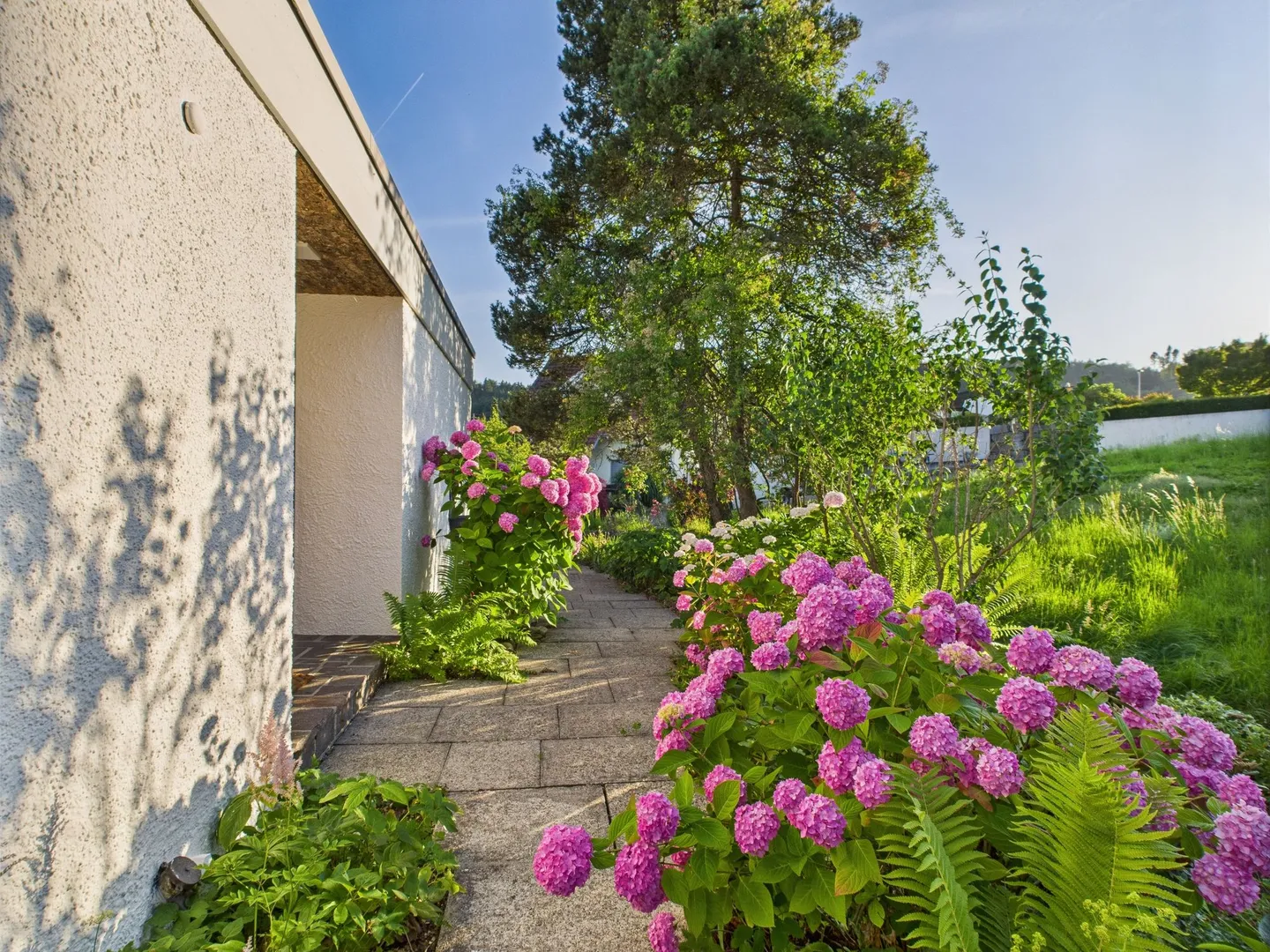 Maison individuelle avec piscine, maison de piscine et beaucoup d'espace extérieur - Photo 10 sur 13