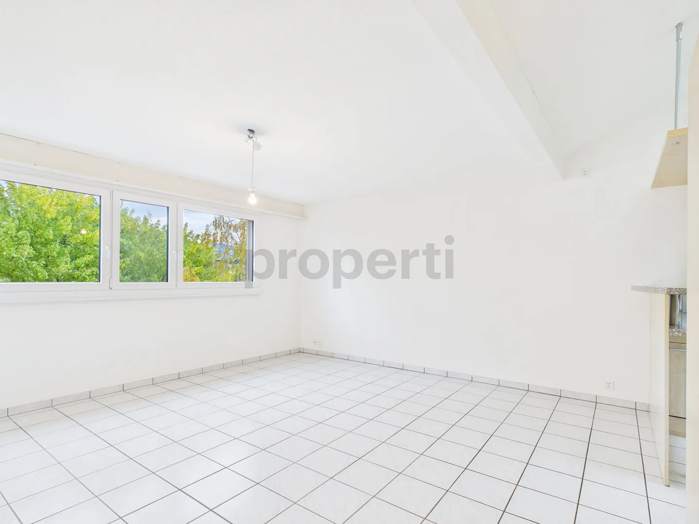 Appartement penthouse moderne de 3,5 pièces dans un emplacement calme avec une atmosphère de vie lumineuse à Reinach - Photo 1 sur 11