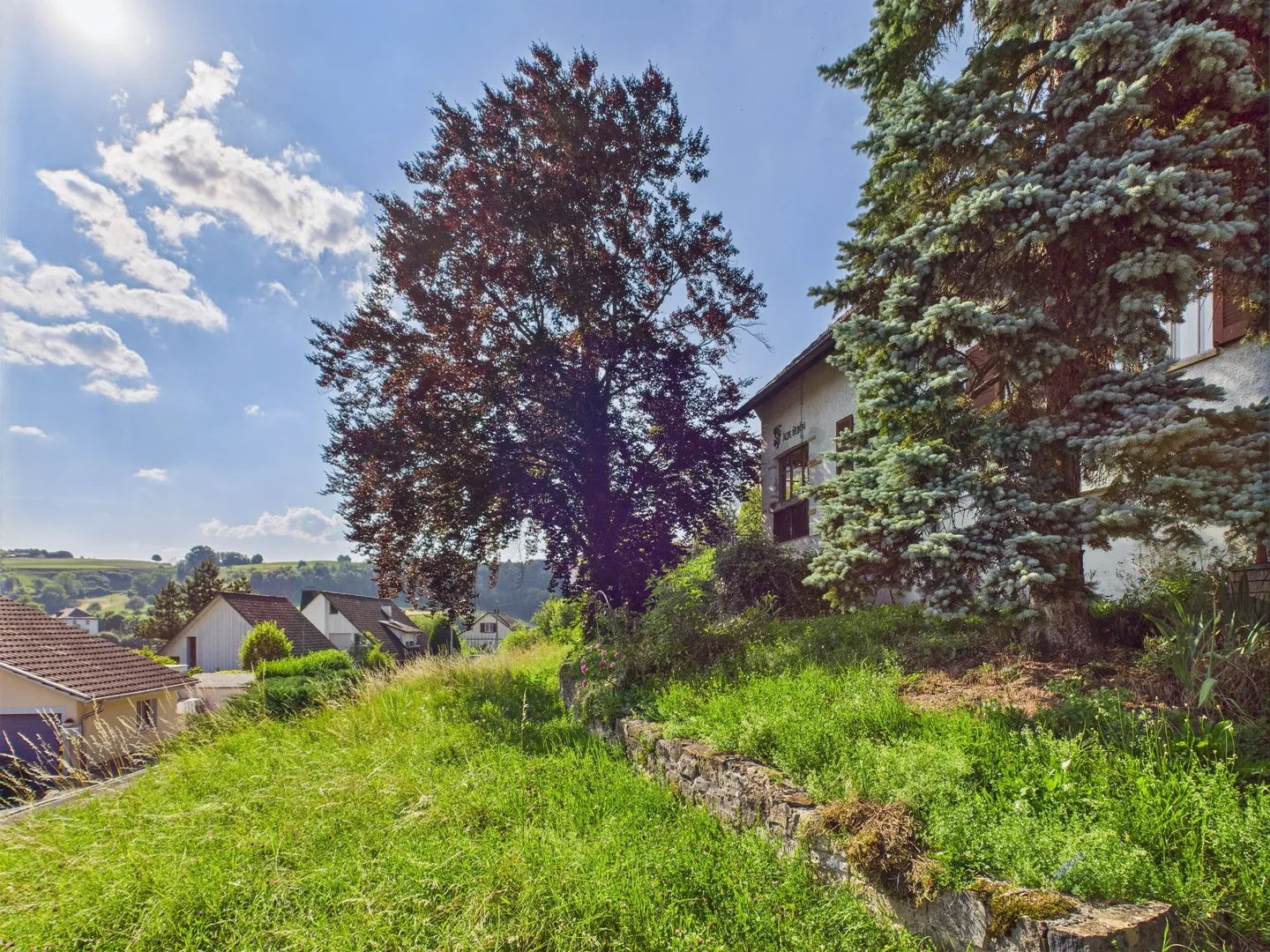 Developed Plot in Wölflinswil - Photo 10 of 12