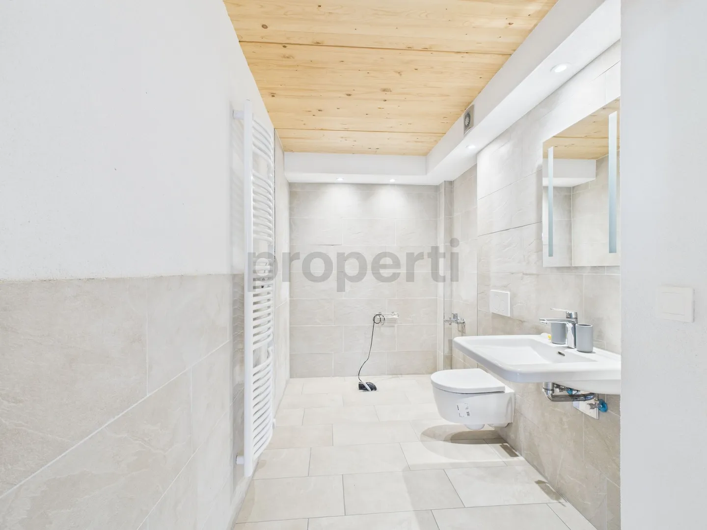 New Building Meets Rural Idyl 3.5-Room Apartment with Historical Flair - Photo 7 of 10