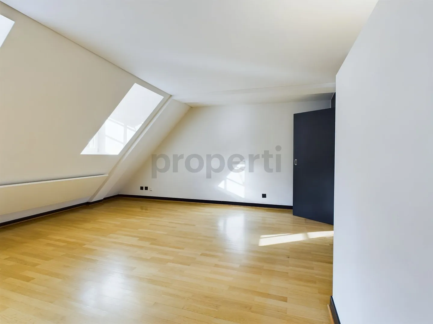 Unique and Modern 3-Room Penthouse Apartment in Basel - Photo 5 of 13