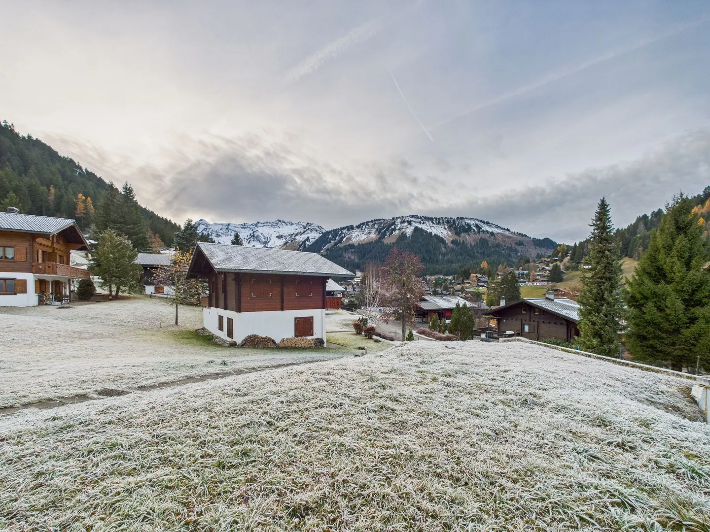 For Sale: Superb 4.5 Room Apartment at the Portes du Soleil in Morgins - Photo 10 of 11