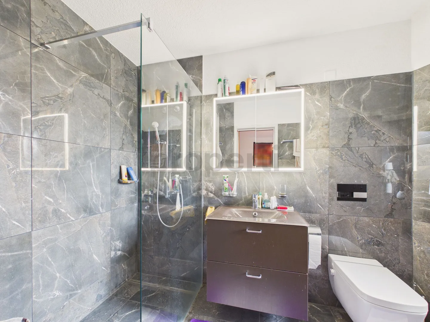 Bright 2.5-Room Apartment in Zurich - Photo 6 of 7