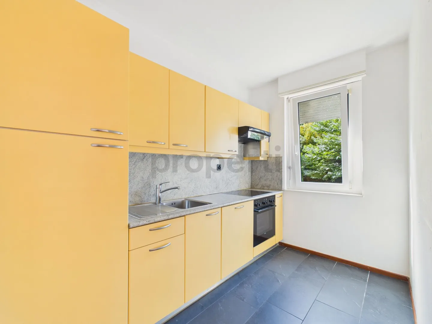 Appartement 2,5 pièces avec vue sur le lac, piscine et toit-terrasse à 360° à Paradiso ! - Photo 4 sur 12