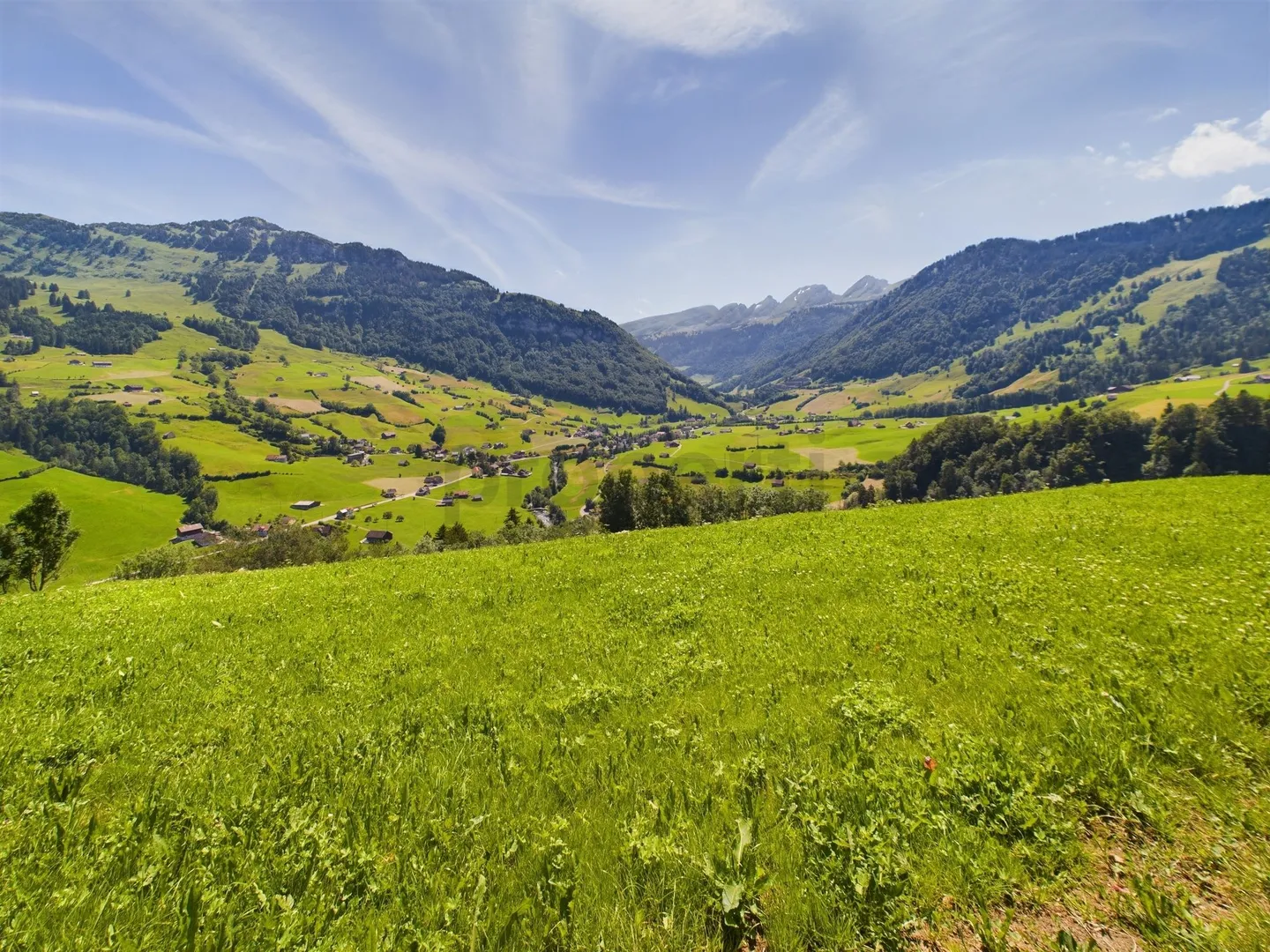 Charmante 3.5-Zimmer Wohnung auf dem Land in Nesslau - Photo 10 of 11