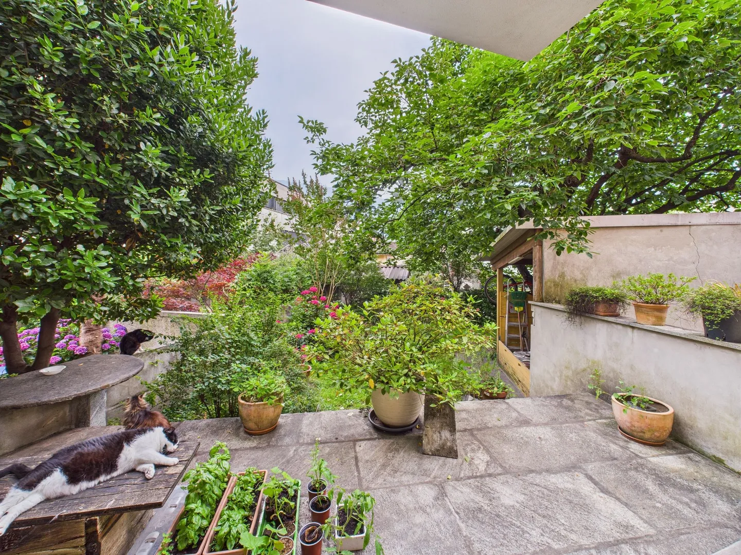 Villa unifamiliale de première classe à Monte, Canton du Tessin - Photo 11 sur 13