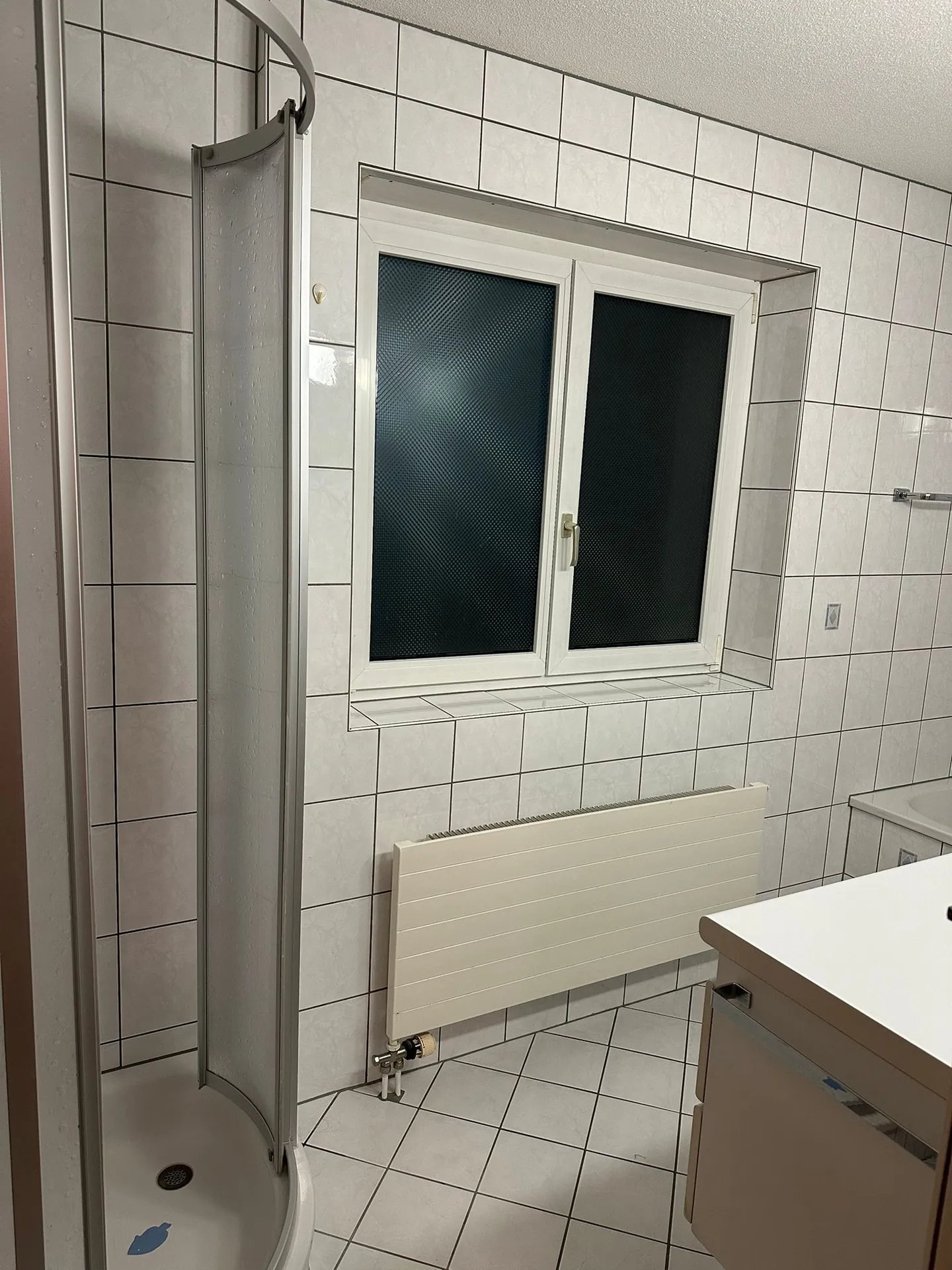 Attractive 3.5-room apartment with lake view and reliable tenant - Your secure investment in Flüelen (UR) - Photo 4 of 8