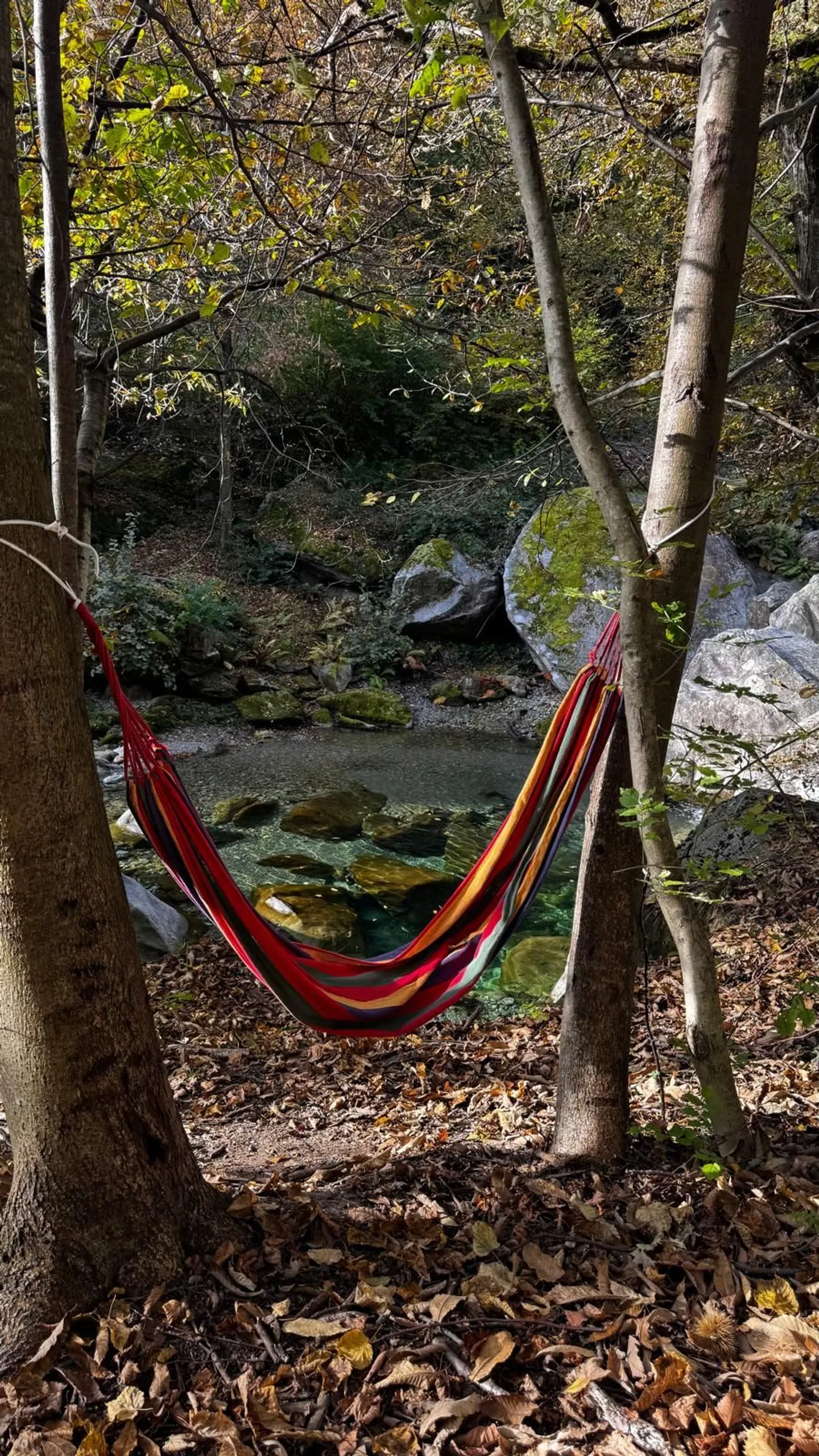Terrain constructible avec piscine naturelle à Giornico - Photo 4 sur 7