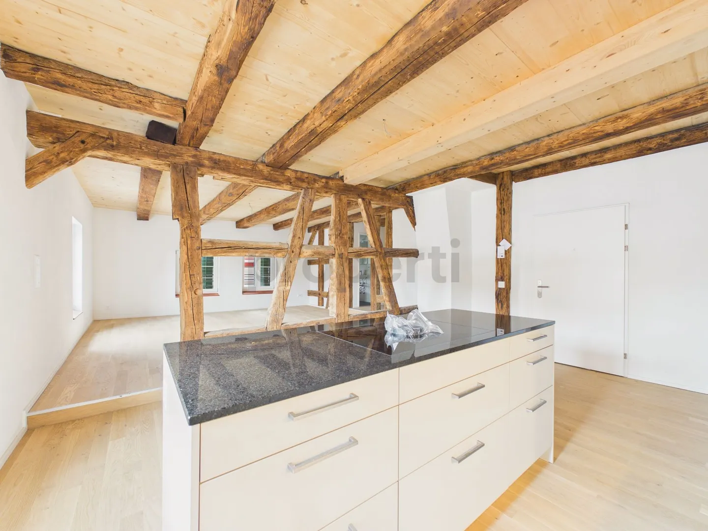 Appartement unique de 3,5 pièces avec caractère historique - Photo 5 sur 11