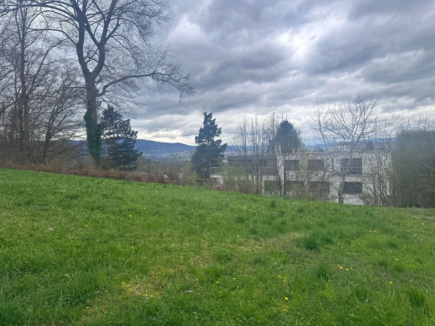 Quiet and Modern Garden Apartment in Zurich Witikon - Photo 8 of 9