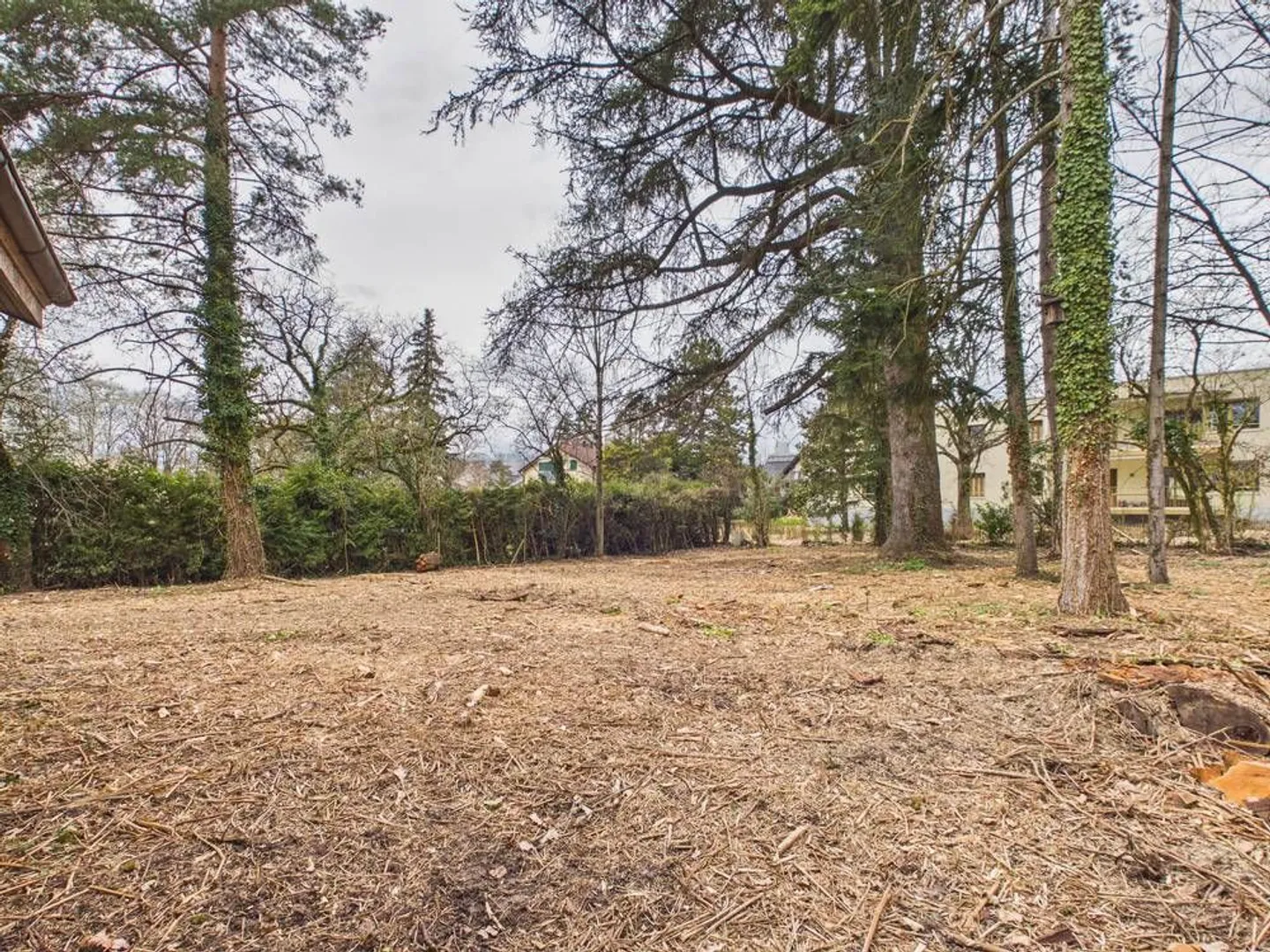 Investi in un angolo di verde - Foto 4 di 7