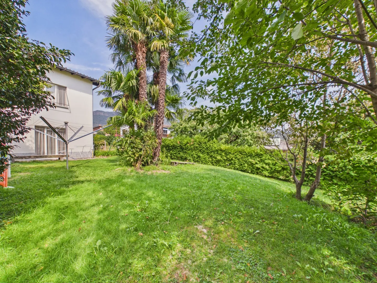 Land of 1,000 m², great renovation potential and pergola with fireplace - Photo 12 of 13
