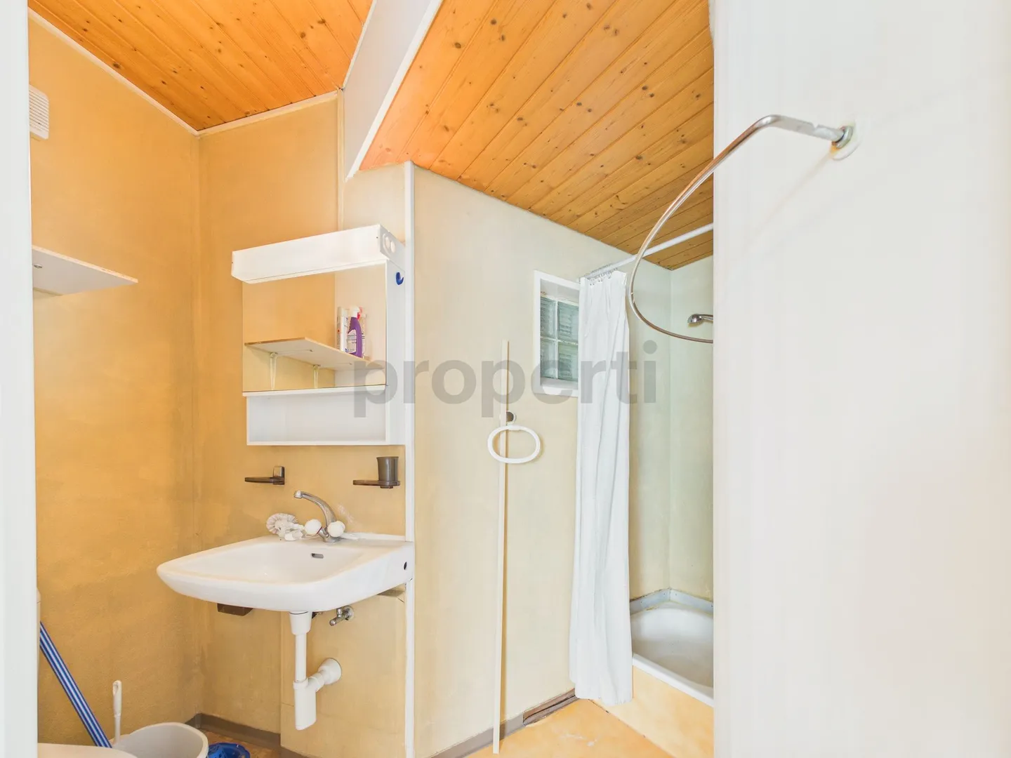 Charming Single-Family Home with 2- and 1-Room Apartments &amp; Commercial Space with Traditional Charm Perfect for Families - Photo 10 of 13