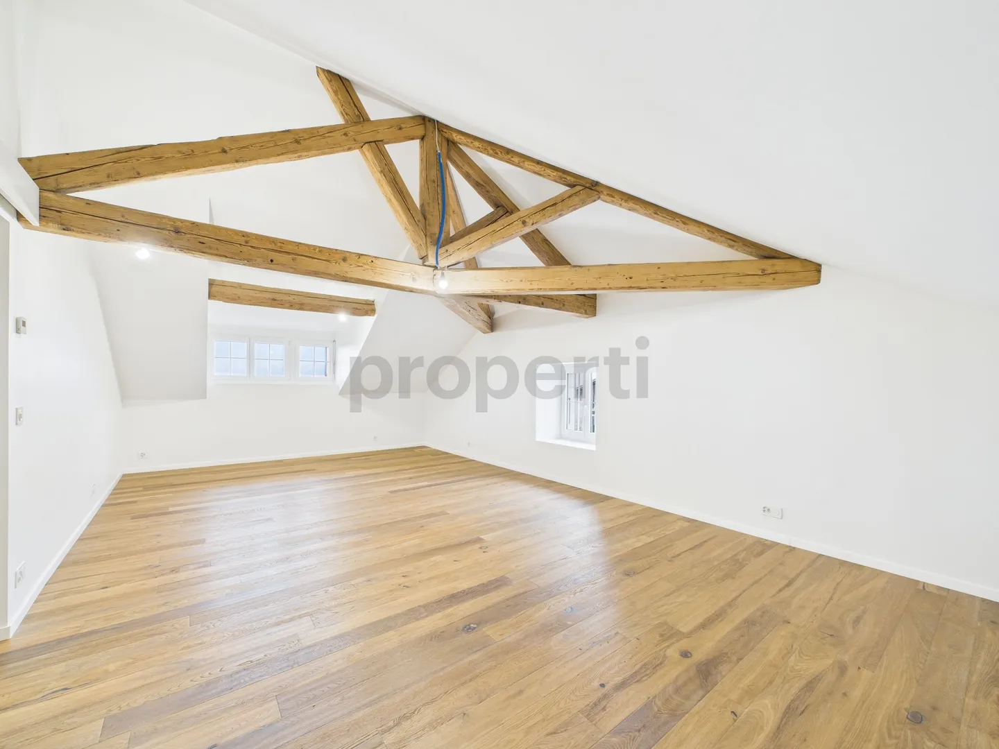 Magnificent renovated family home in Collex-Bossy - Charm and exceptional view - Photo 10 of 13