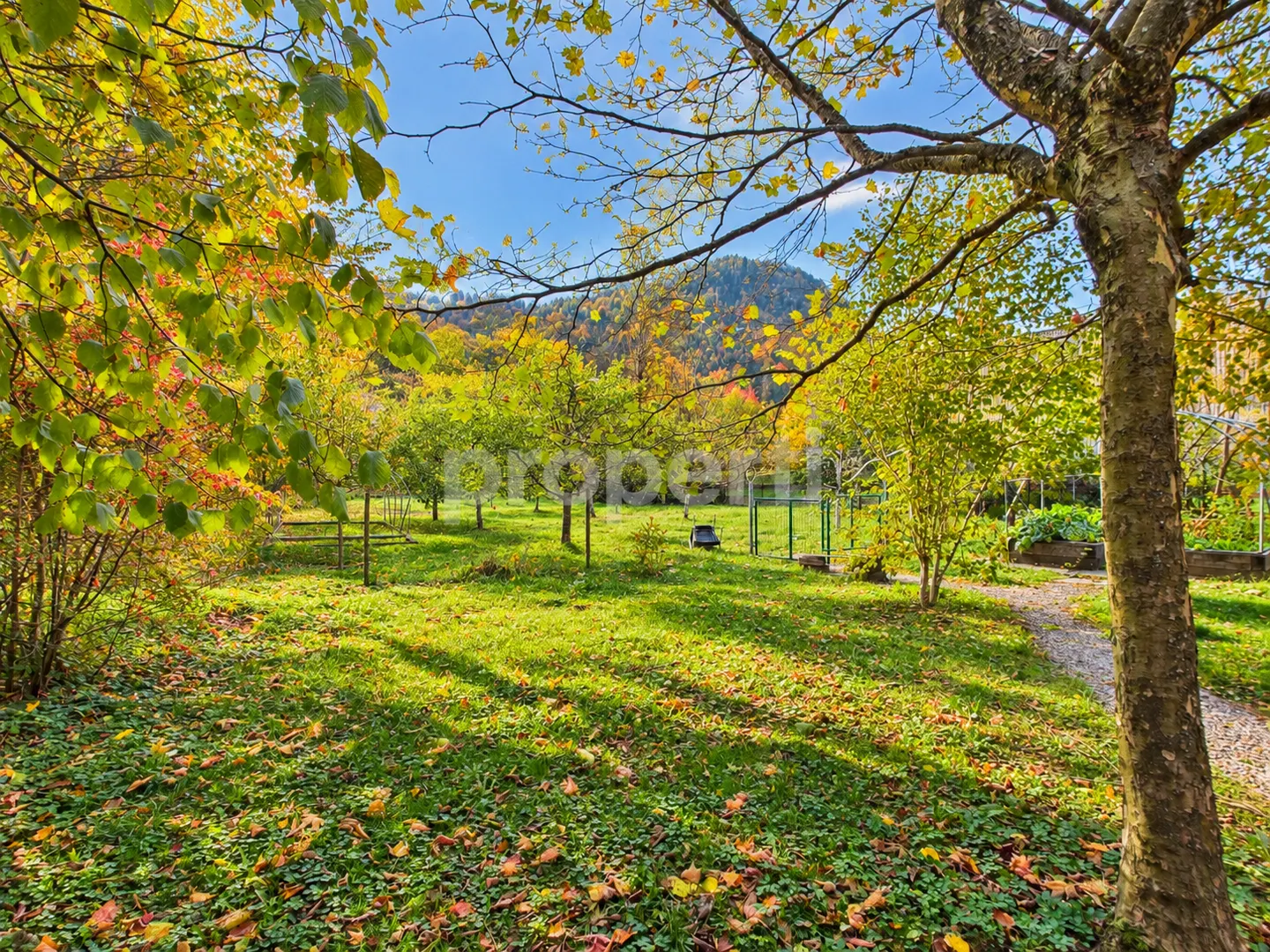 Historical charm, generous volumes & wooded park with orchard! - Photo 4 of 6