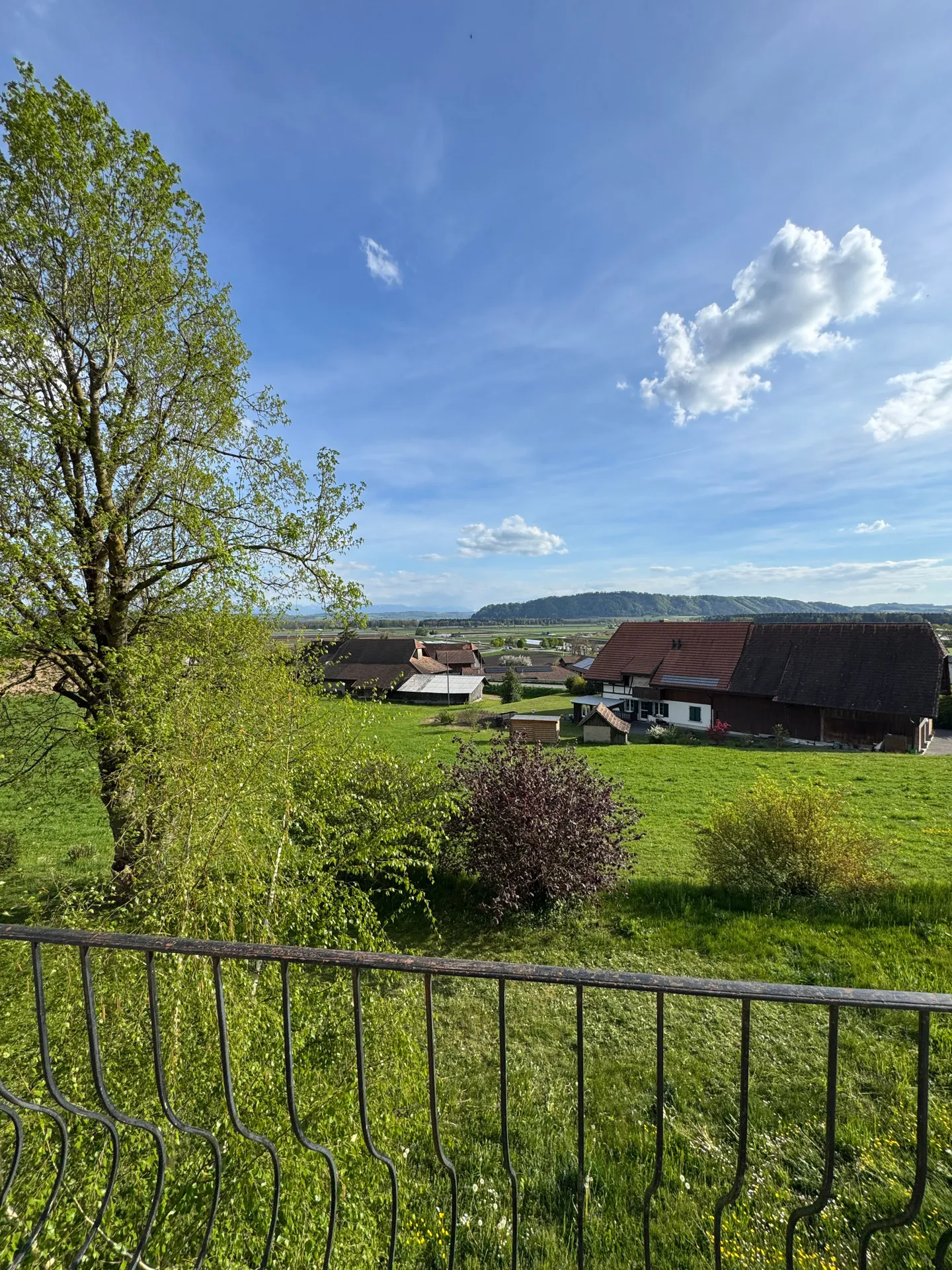 Charmante Wohnung mit Balkon - Foto 8 von 9